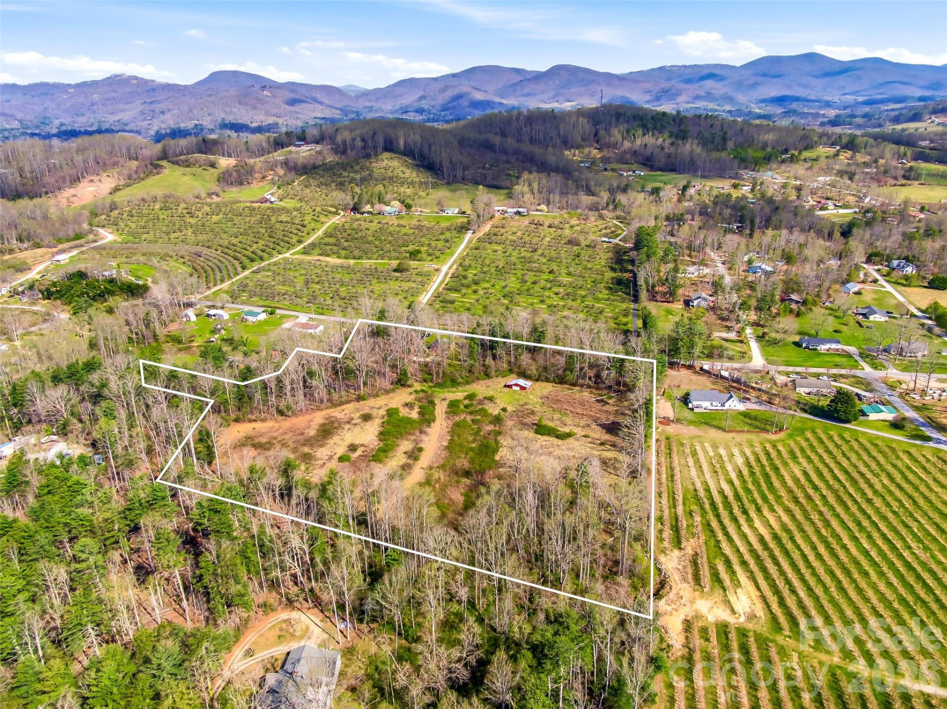 984 Pace Road - Photo 6