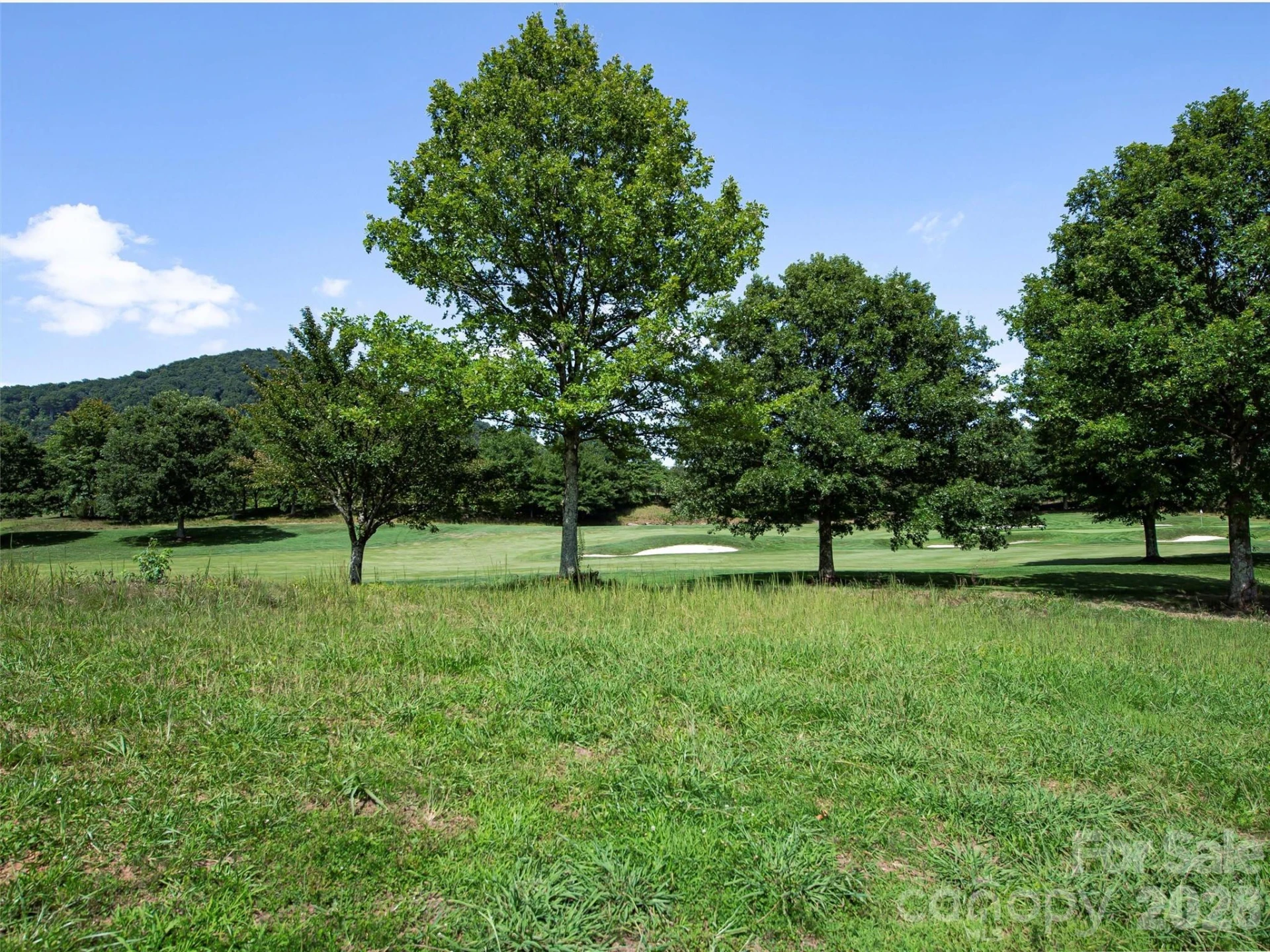 74 Walnut Valley Parkway #001 - Photo 22
