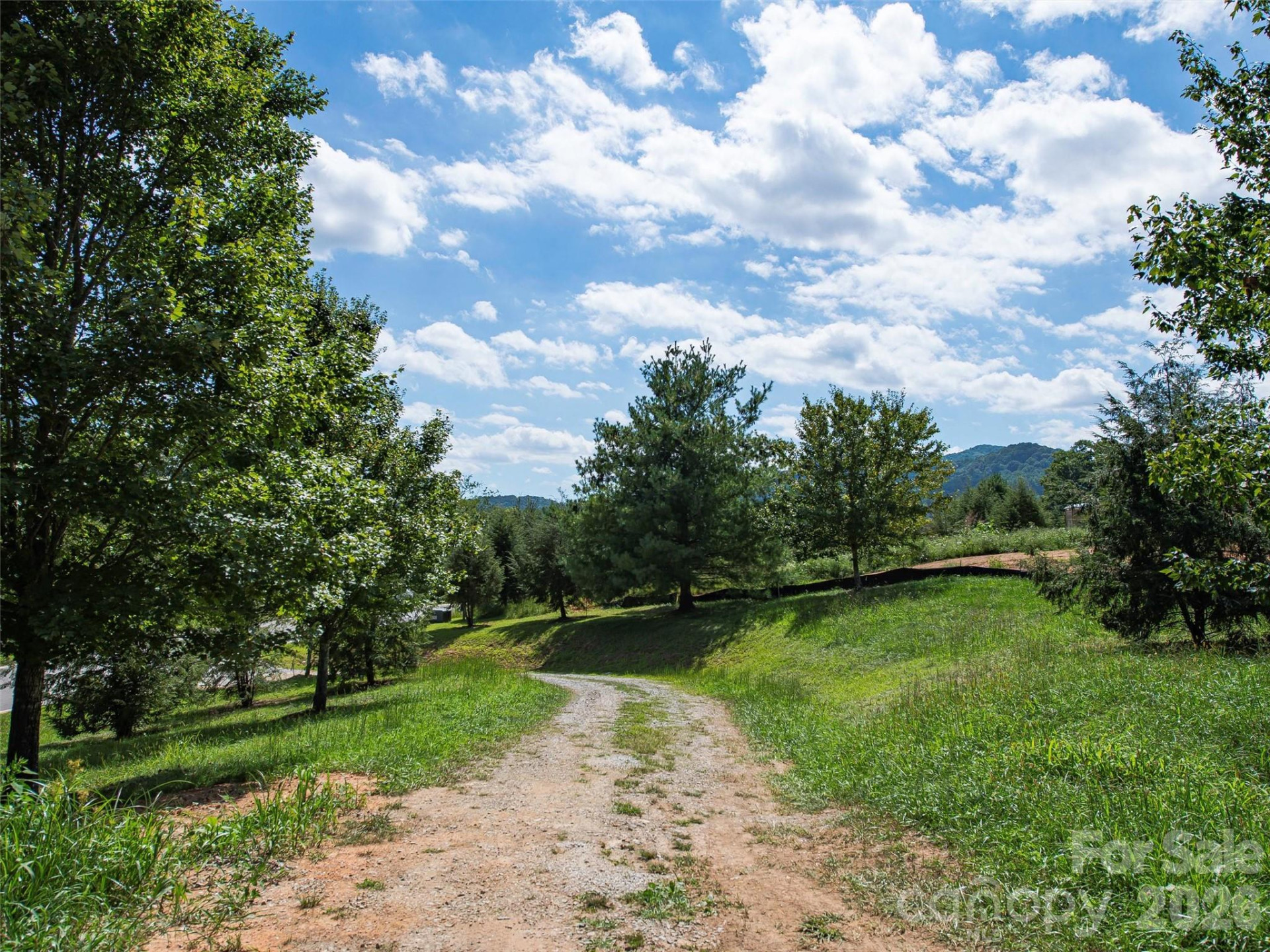 74 Walnut Valley Parkway #001 - Photo 28