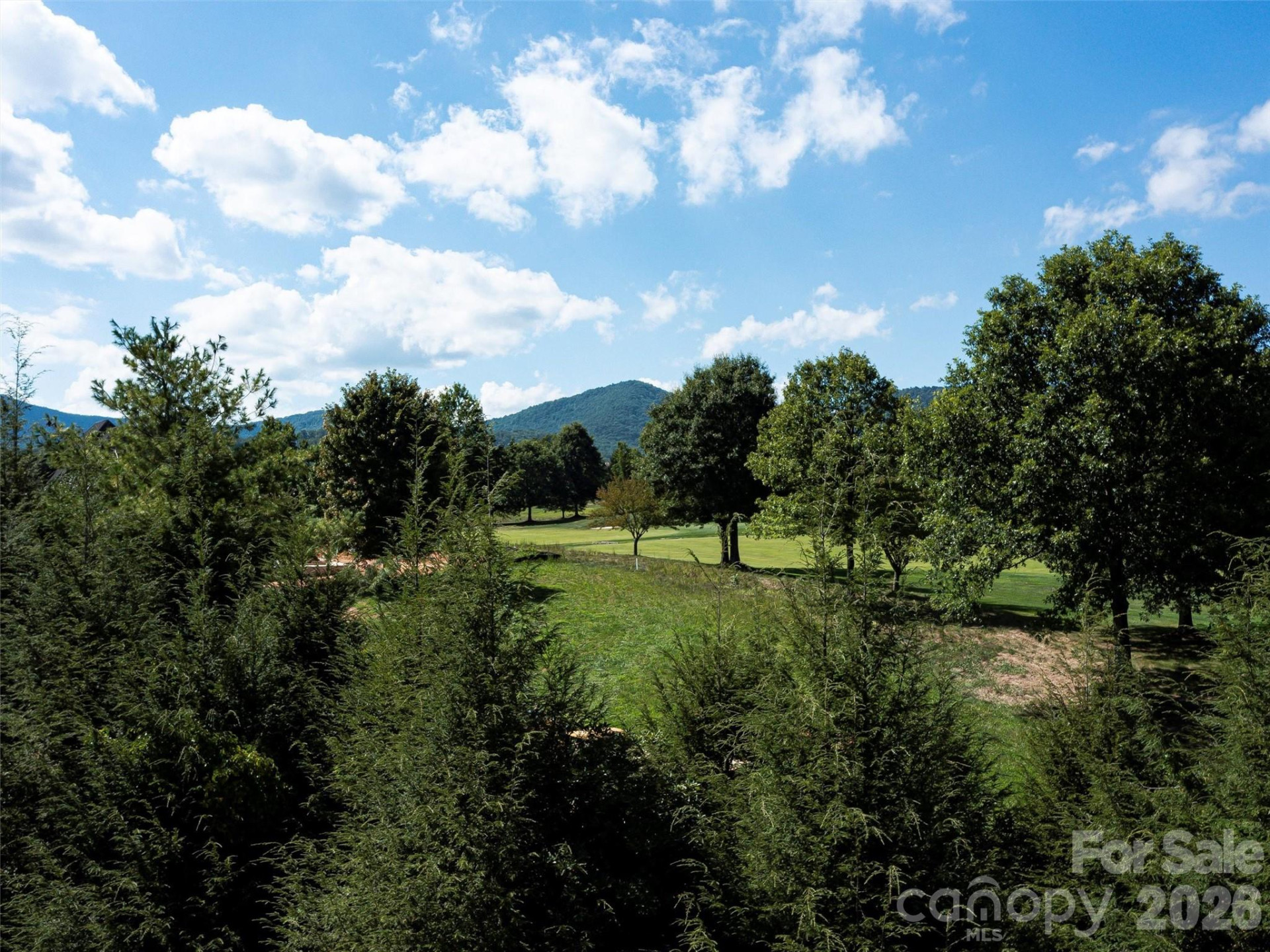 74 Walnut Valley Parkway #001 - Photo 5