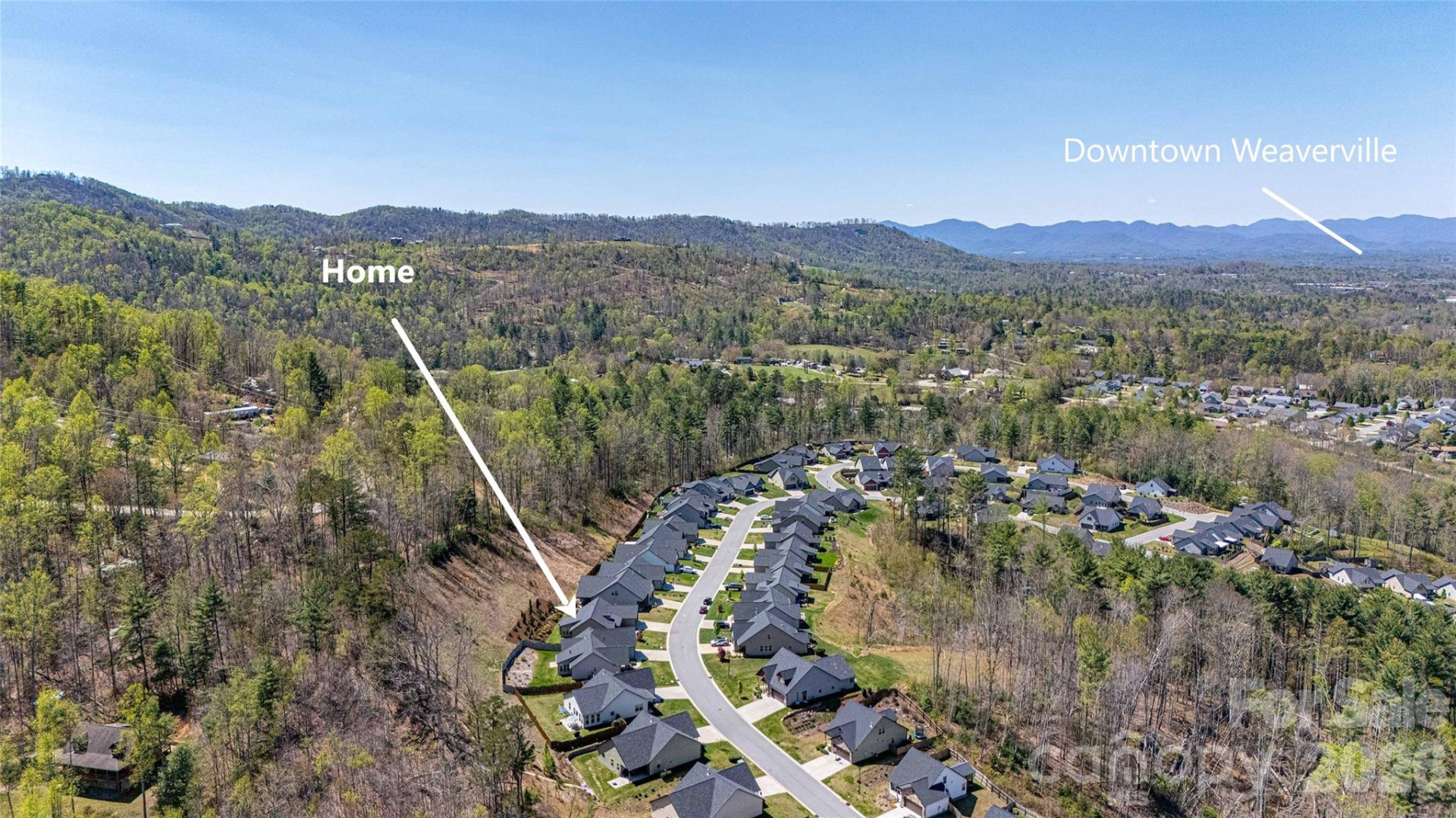 153 Water Leaf Drive - Photo 11