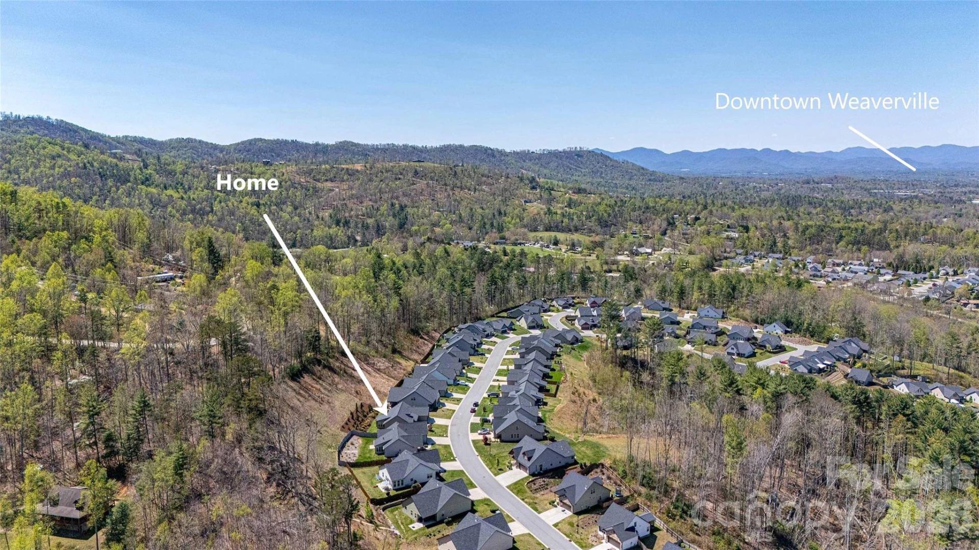 153 Water Leaf Drive - Photo 12
