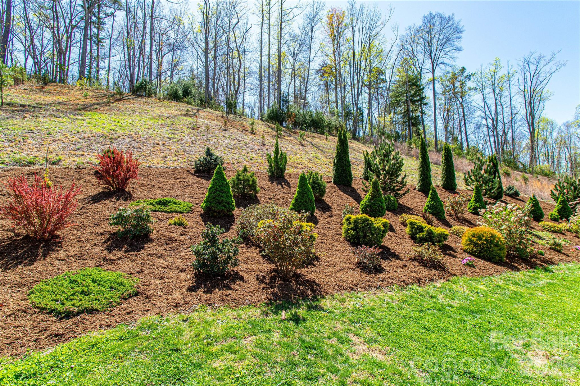 153 Water Leaf Drive - Photo 39