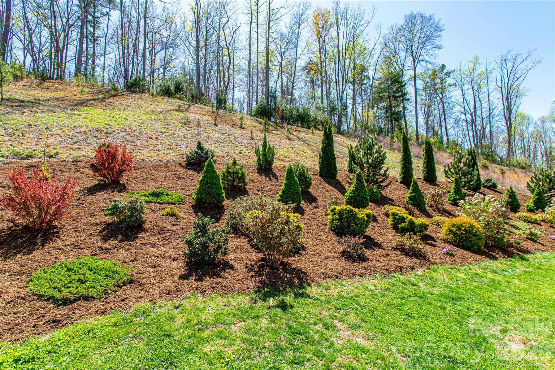 153 Water Leaf Drive - Photo 37