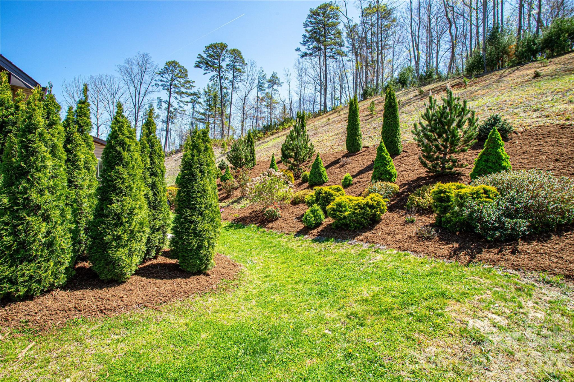 153 Water Leaf Drive - Photo 40