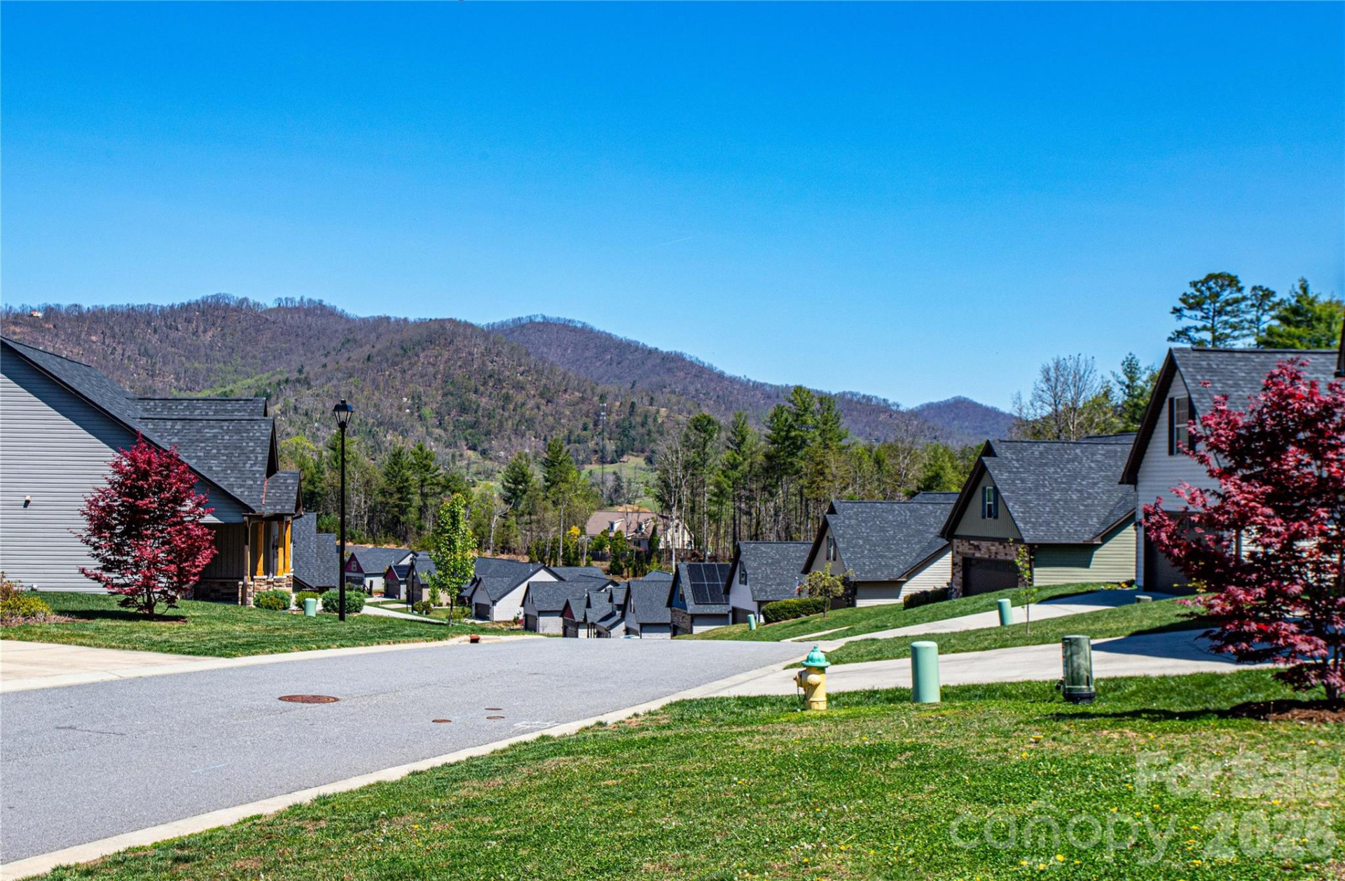 153 Water Leaf Drive - Photo 44