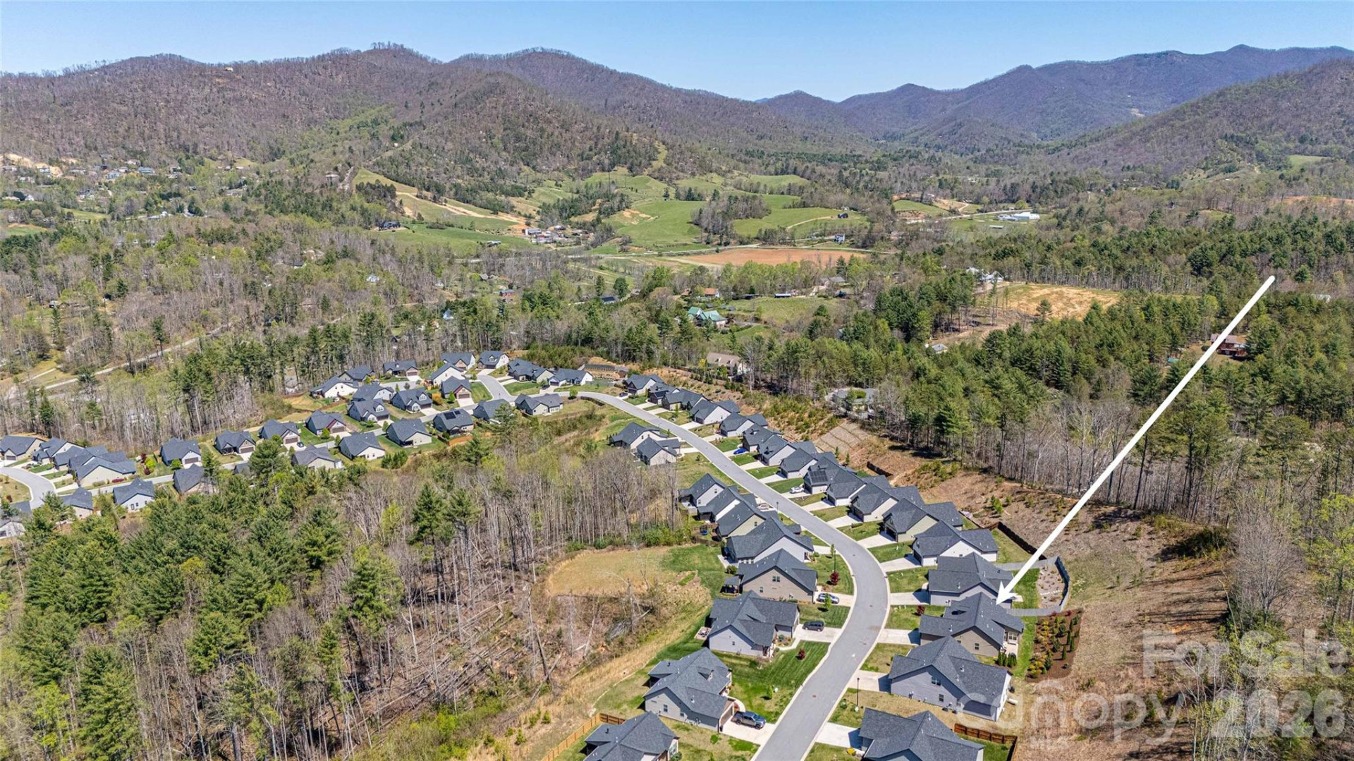 153 Water Leaf Drive - Photo 47