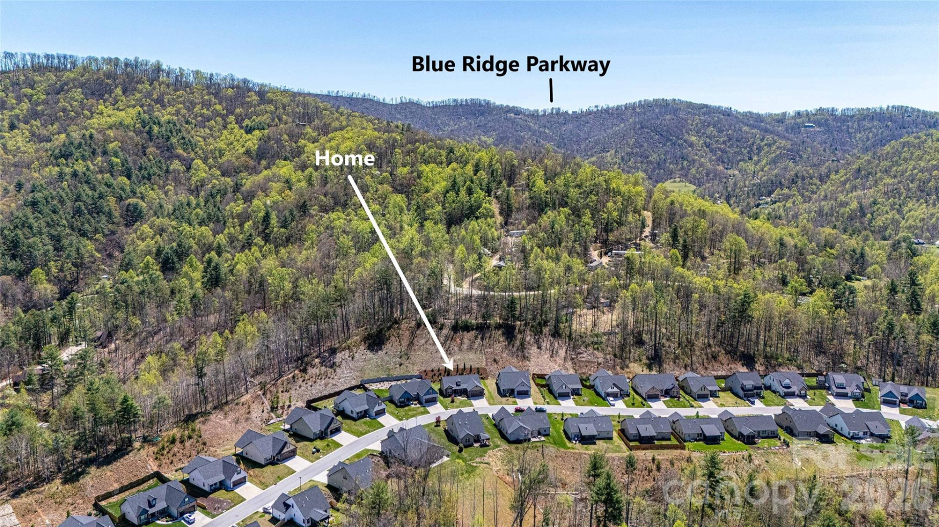 153 Water Leaf Drive - Photo 10