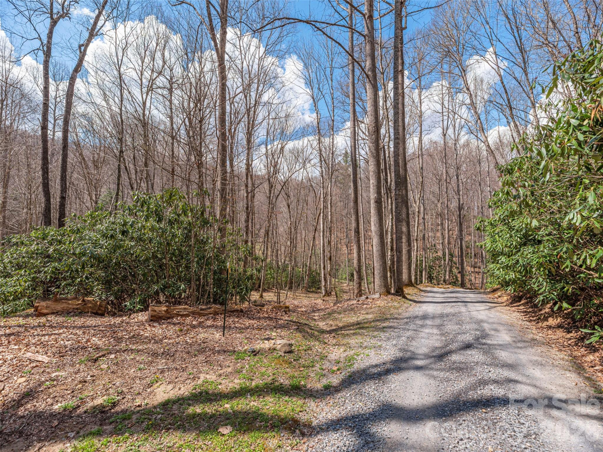00 Norton Fork Road - Photo 2