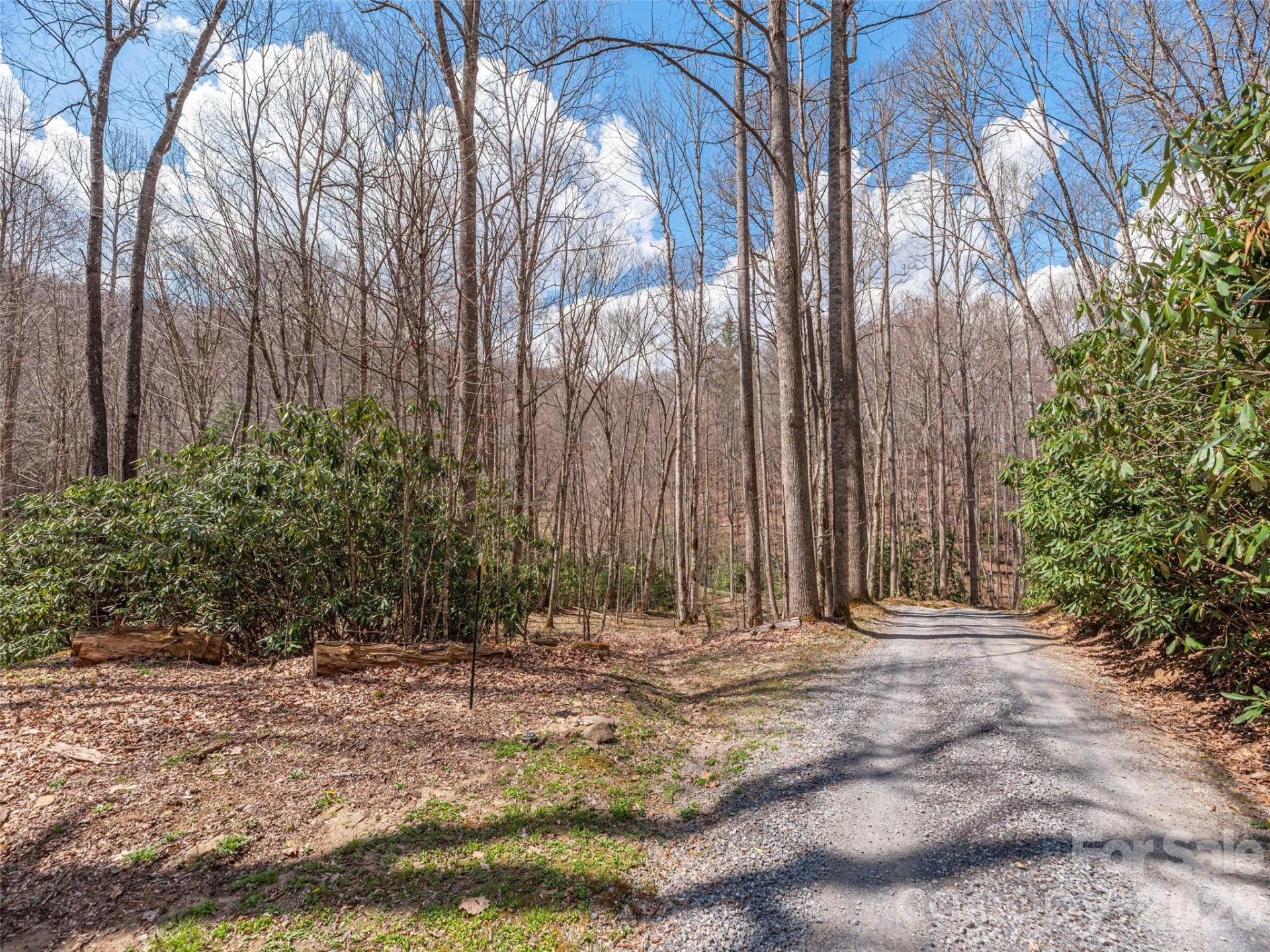 00 Norton Fork Road - Photo 2