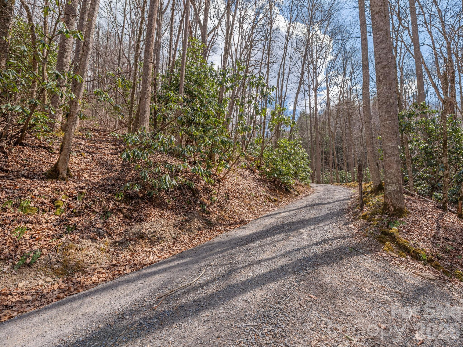 00 Norton Fork Road - Photo 11