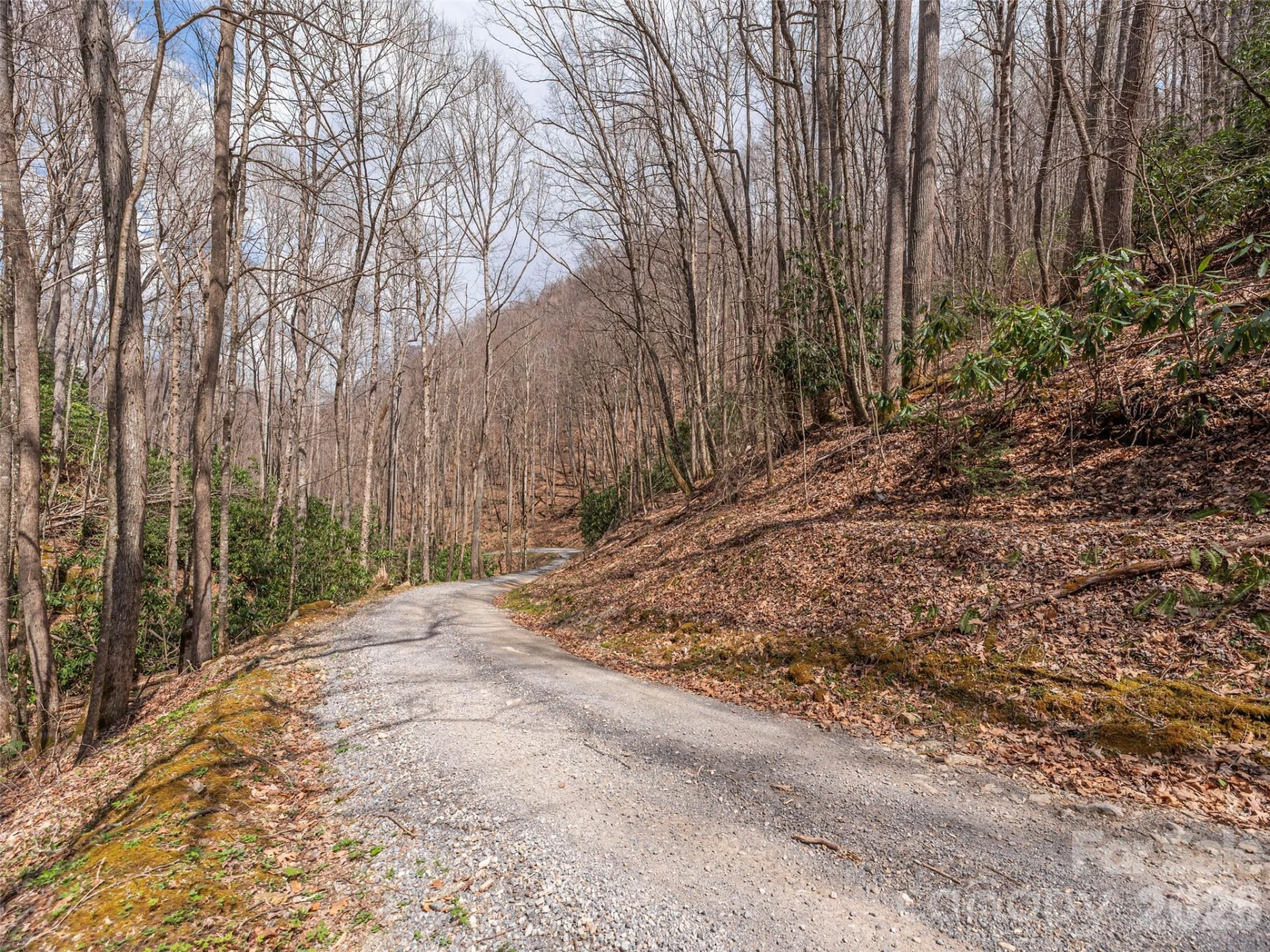 00 Norton Fork Road - Photo 12