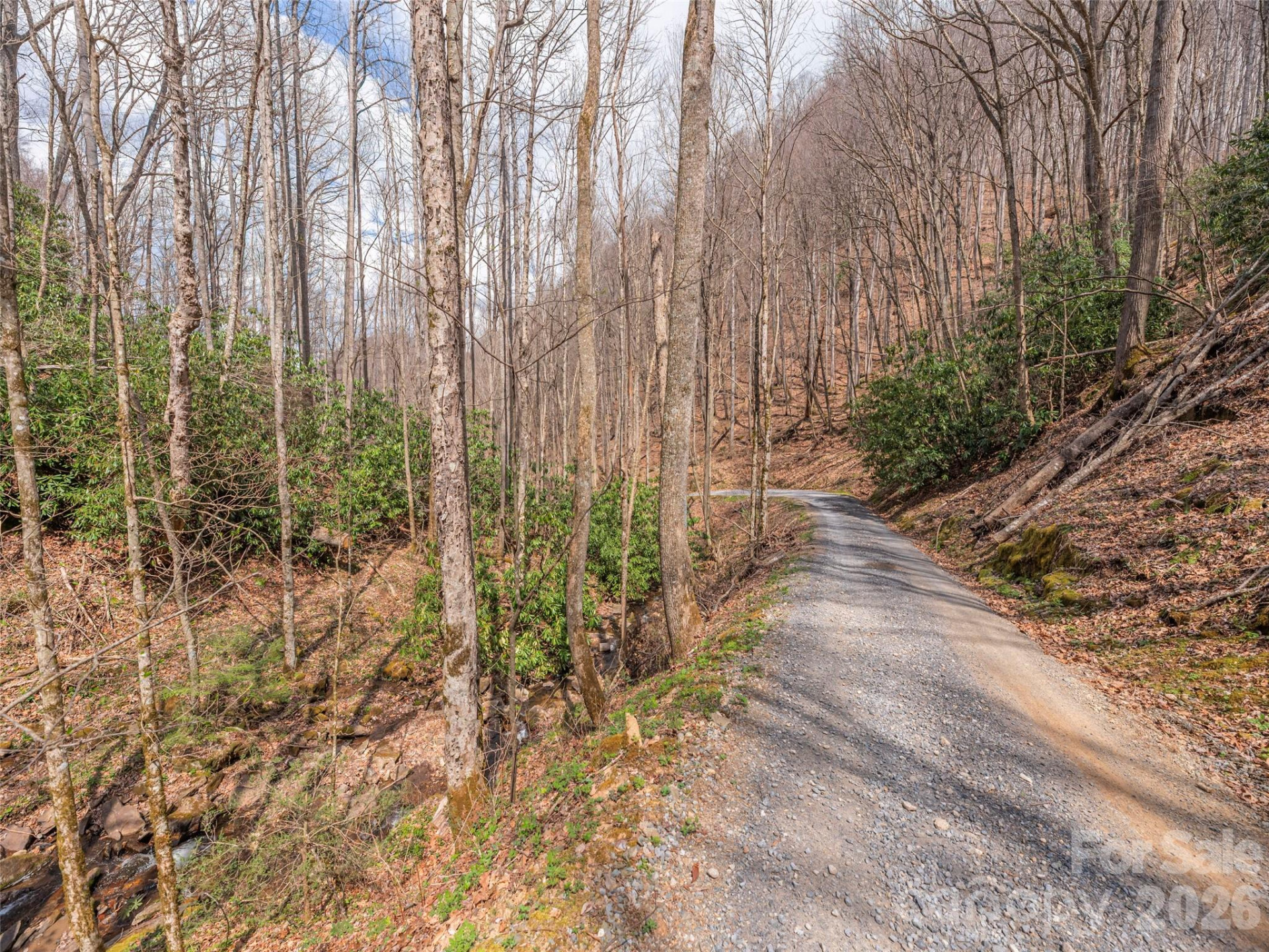 00 Norton Fork Road - Photo 13