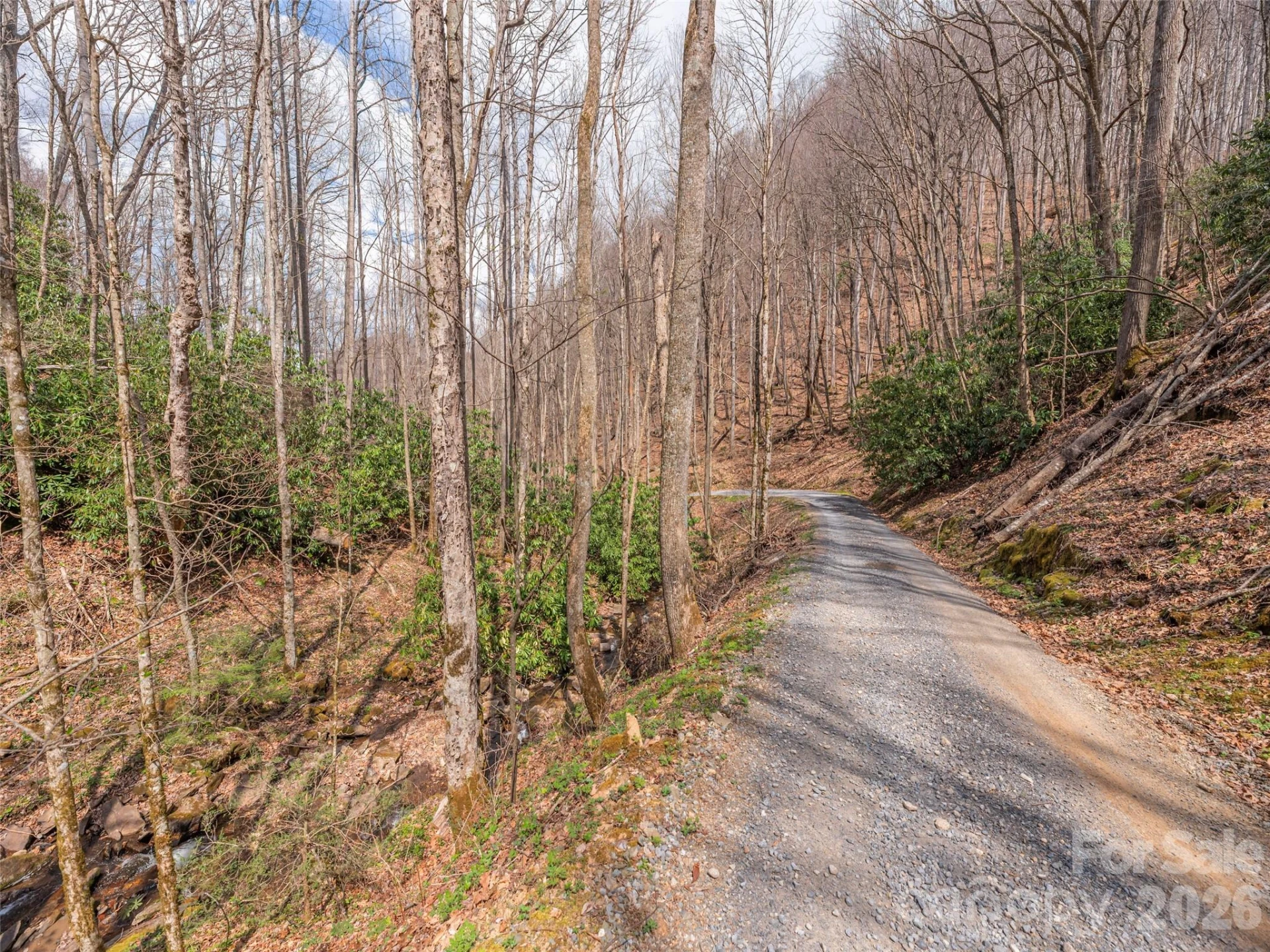 00 Norton Fork Road - Photo 13