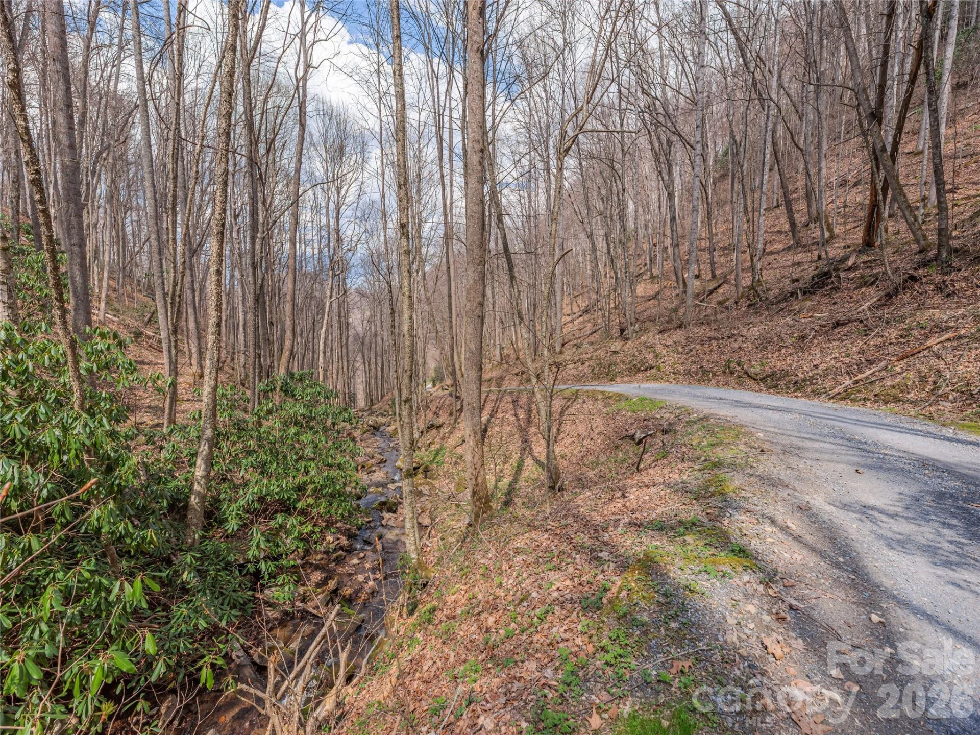 00 Norton Fork Road - Photo 14