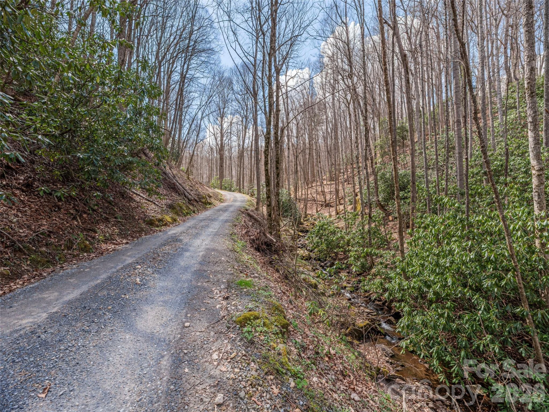 00 Norton Fork Road - Photo 15