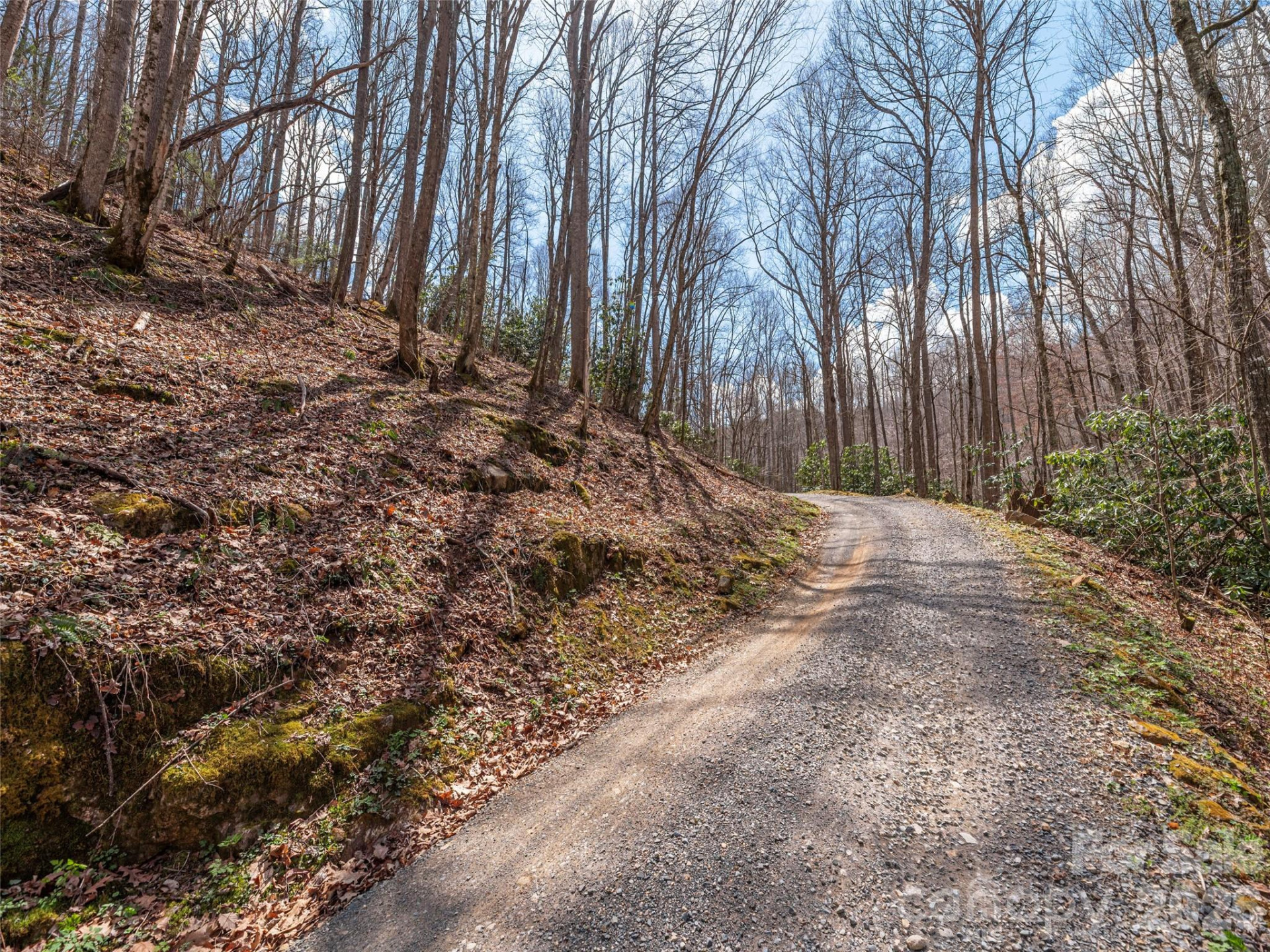 00 Norton Fork Road - Photo 16
