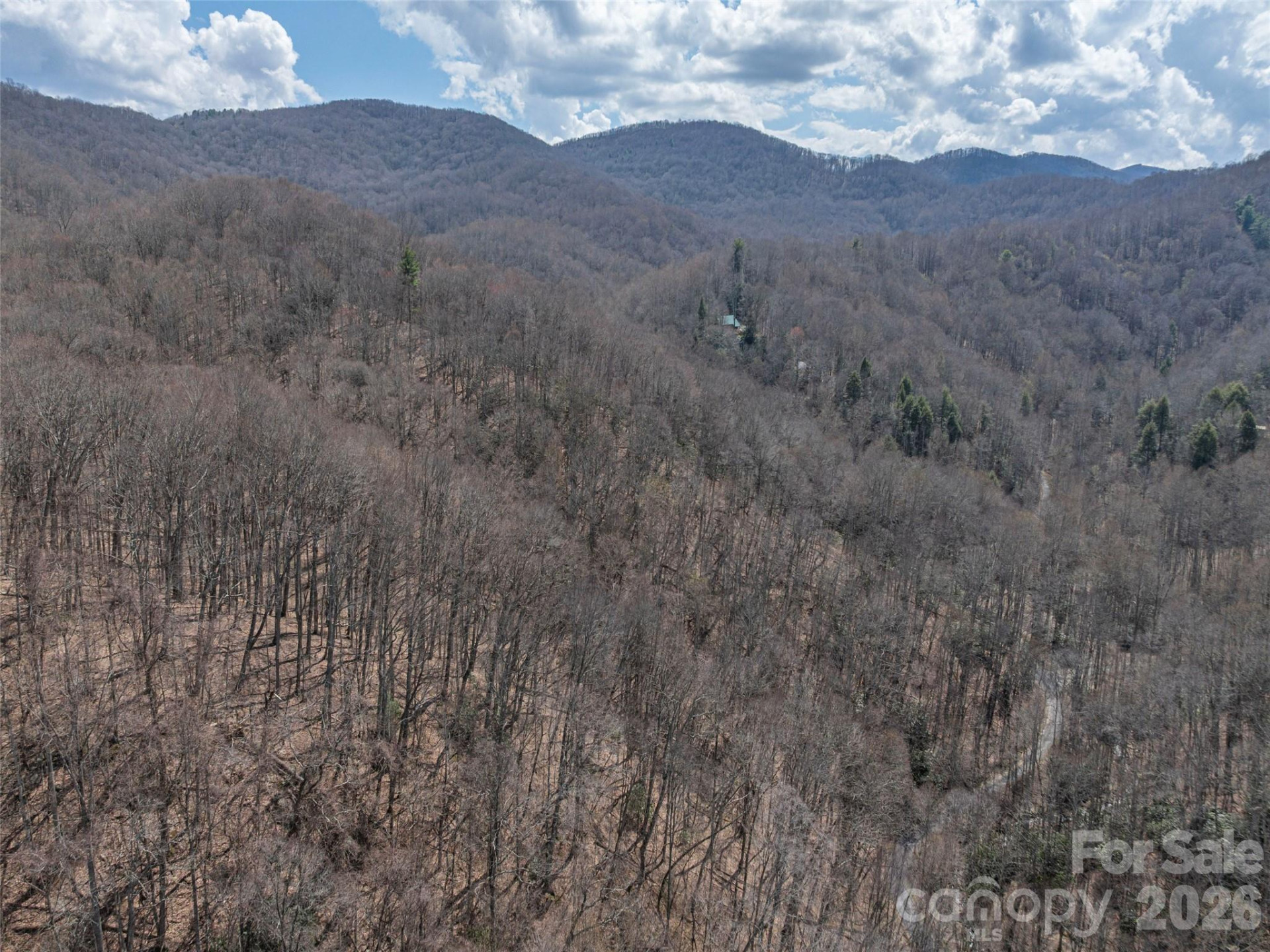 00 Norton Fork Road - Photo 17