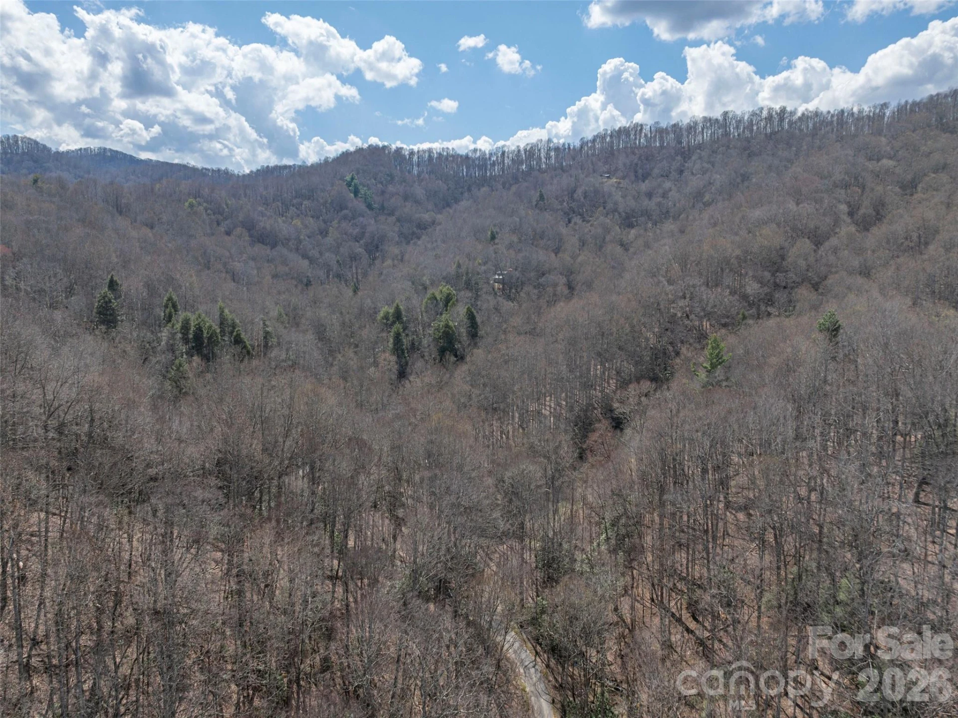 00 Norton Fork Road - Photo 18