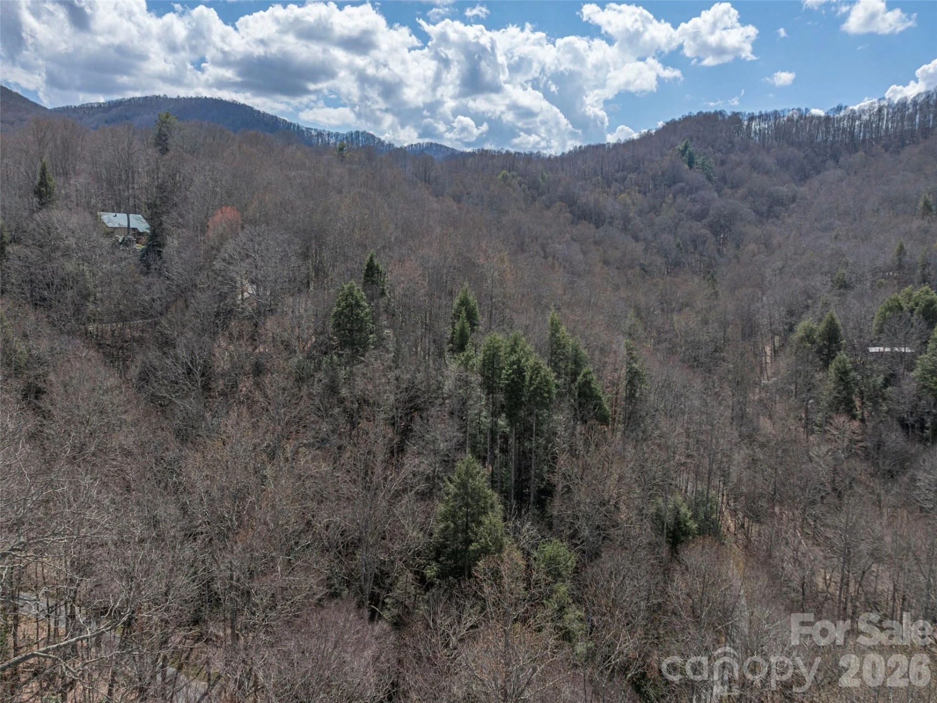 00 Norton Fork Road - Photo 20