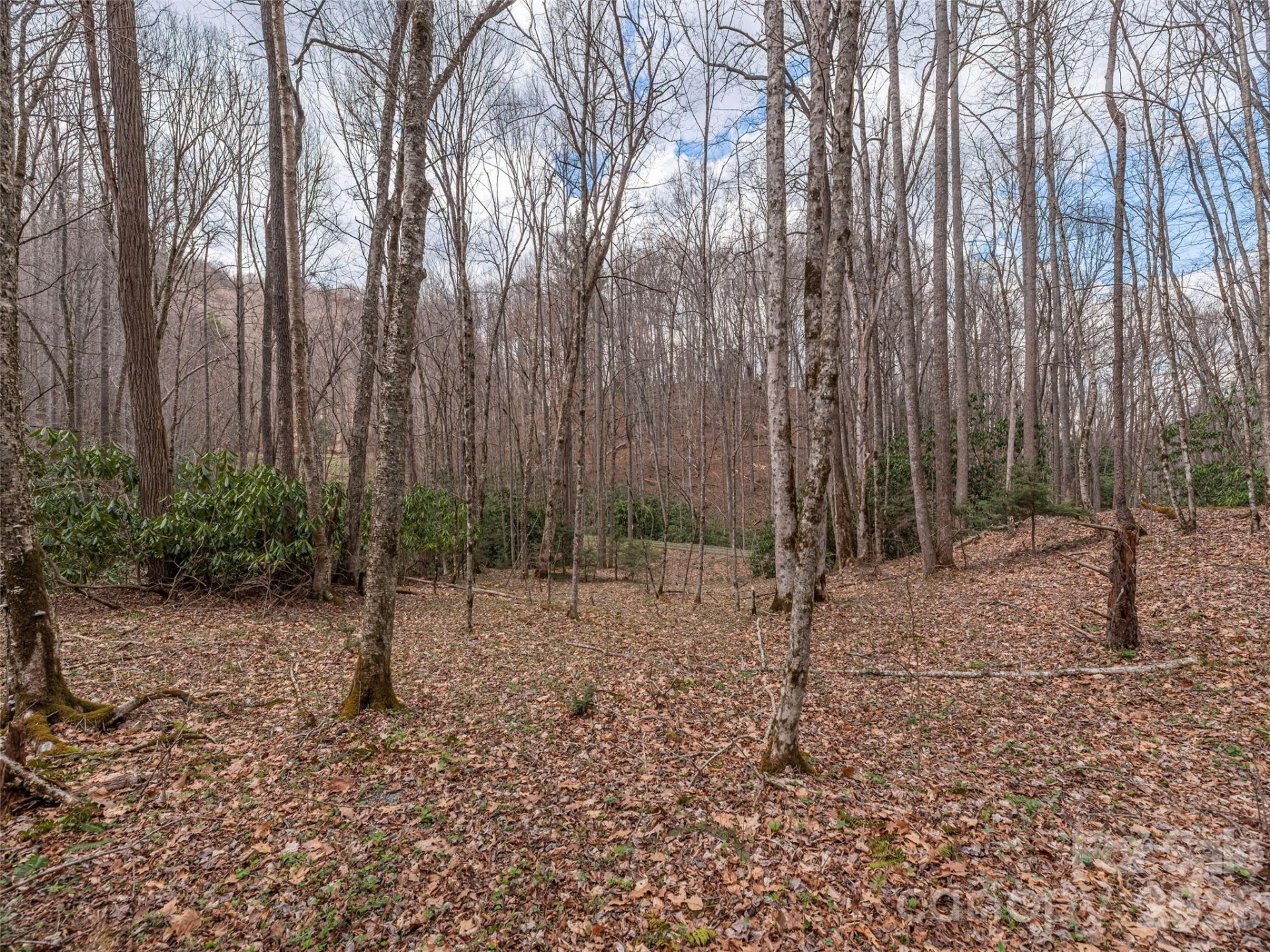 00 Norton Fork Road - Photo 3