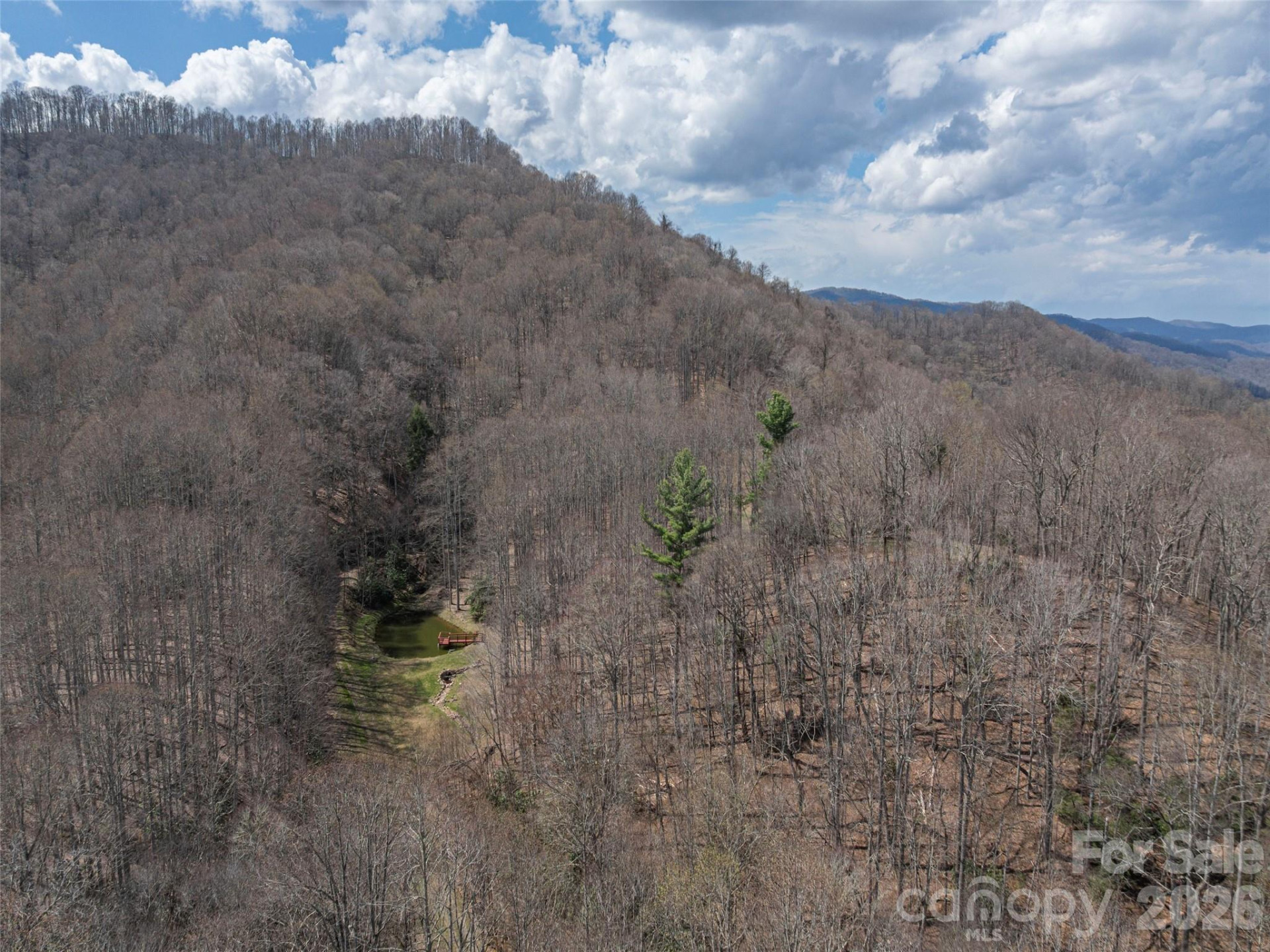 00 Norton Fork Road - Photo 21