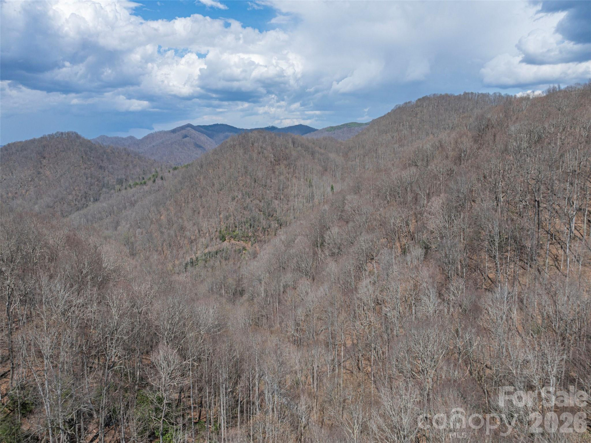 00 Norton Fork Road - Photo 22