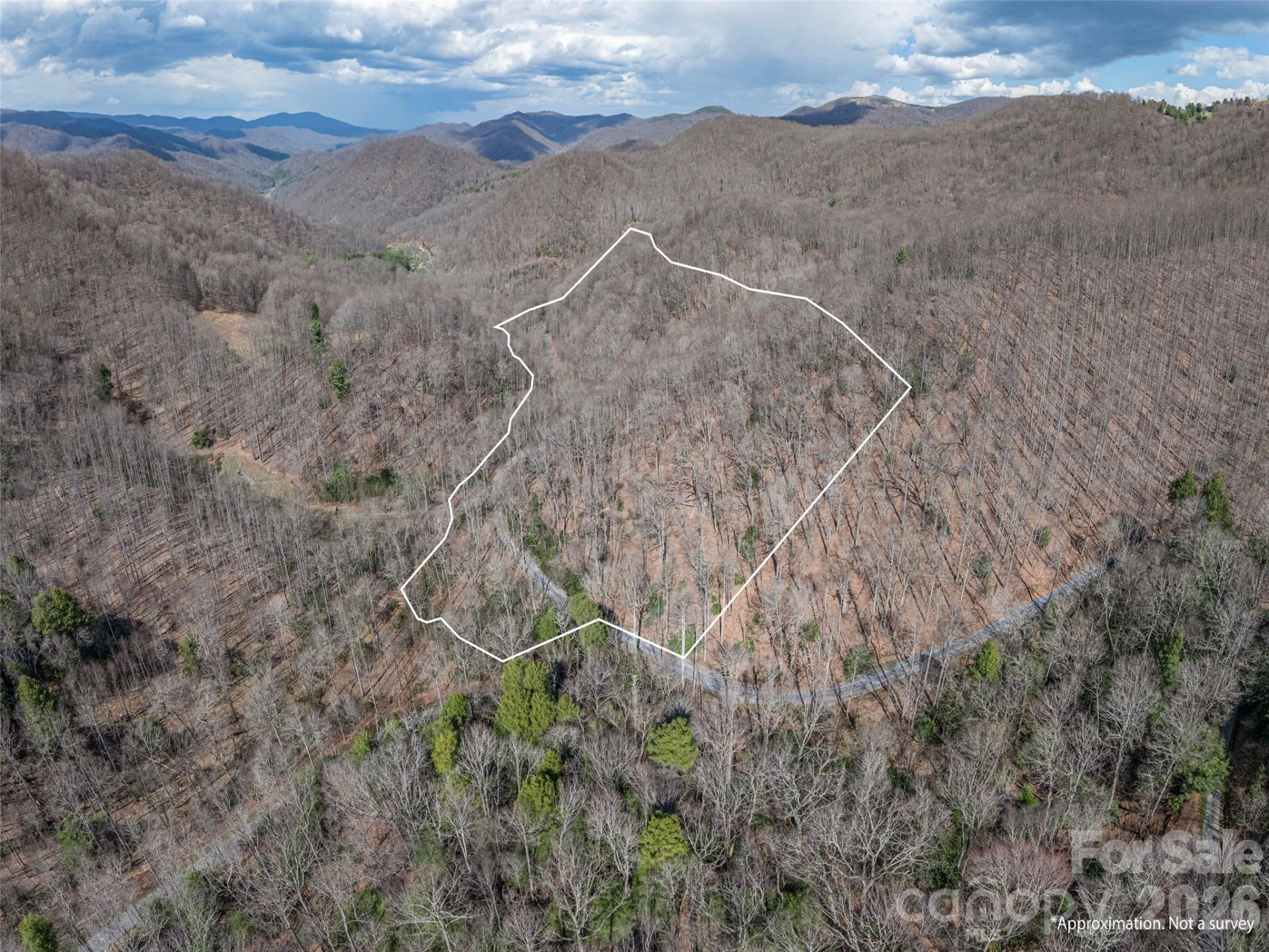 00 Norton Fork Road - Photo 23