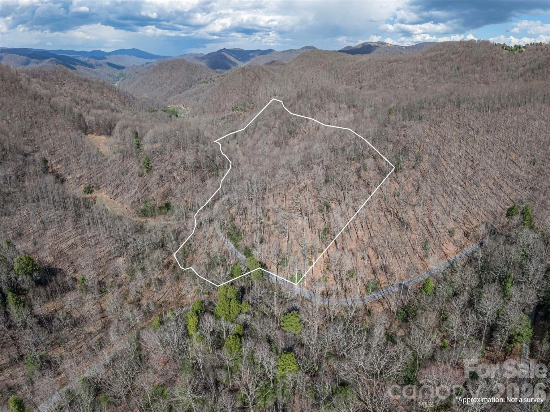 00 Norton Fork Road - Photo 23