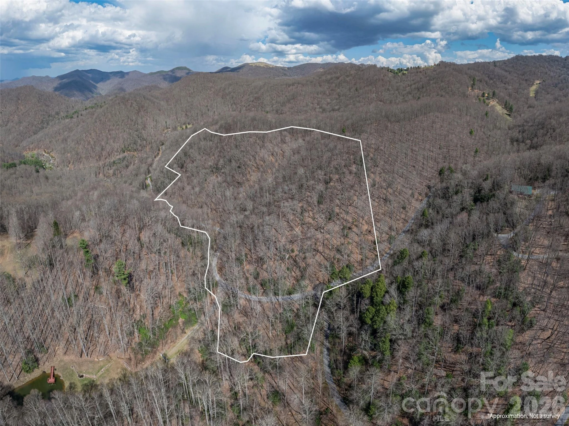00 Norton Fork Road - Photo 24