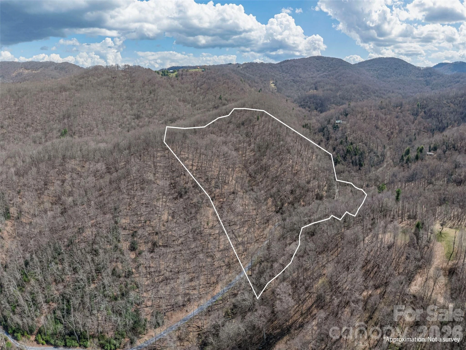 00 Norton Fork Road - Photo 26