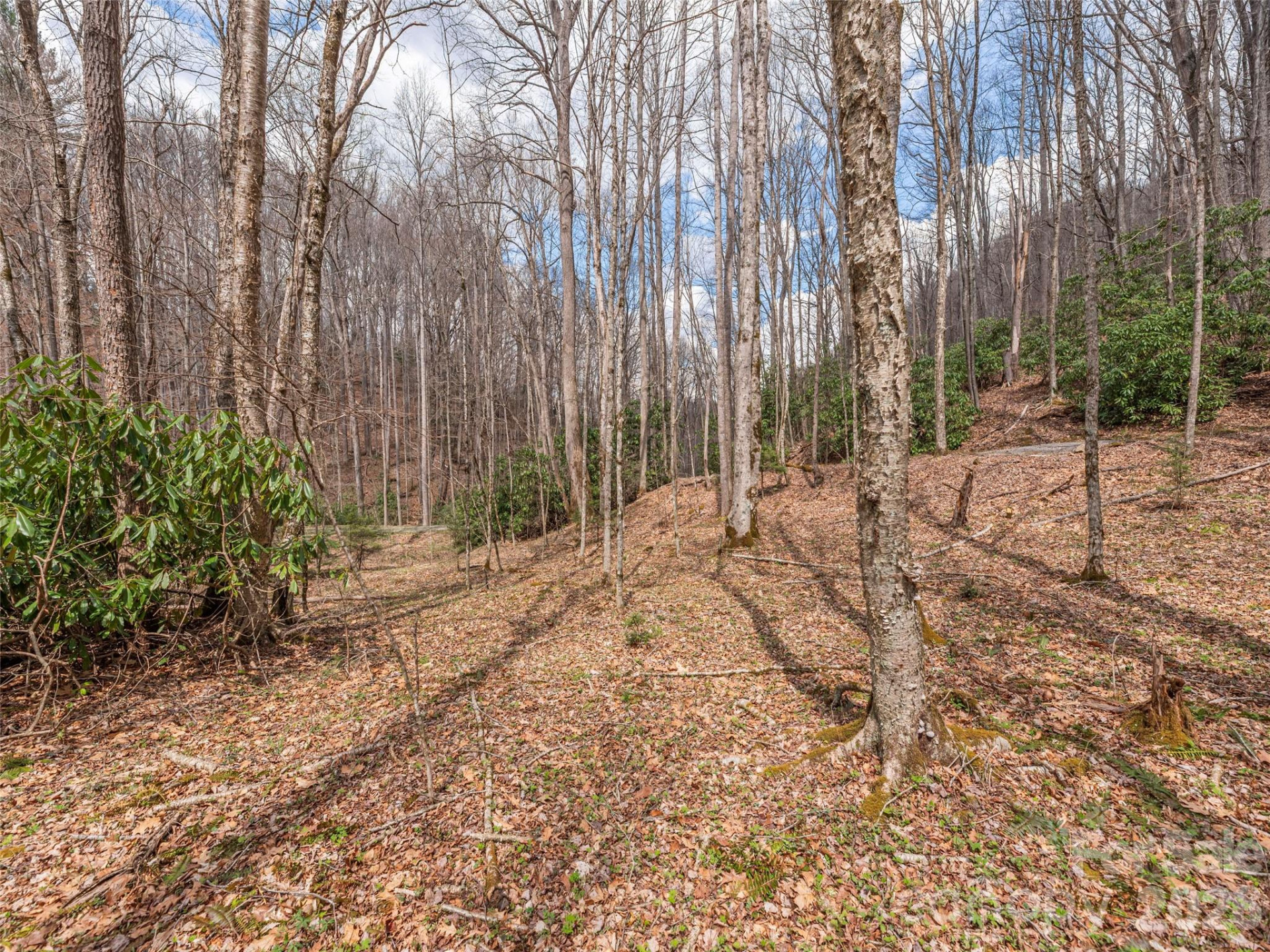 00 Norton Fork Road - Photo 4