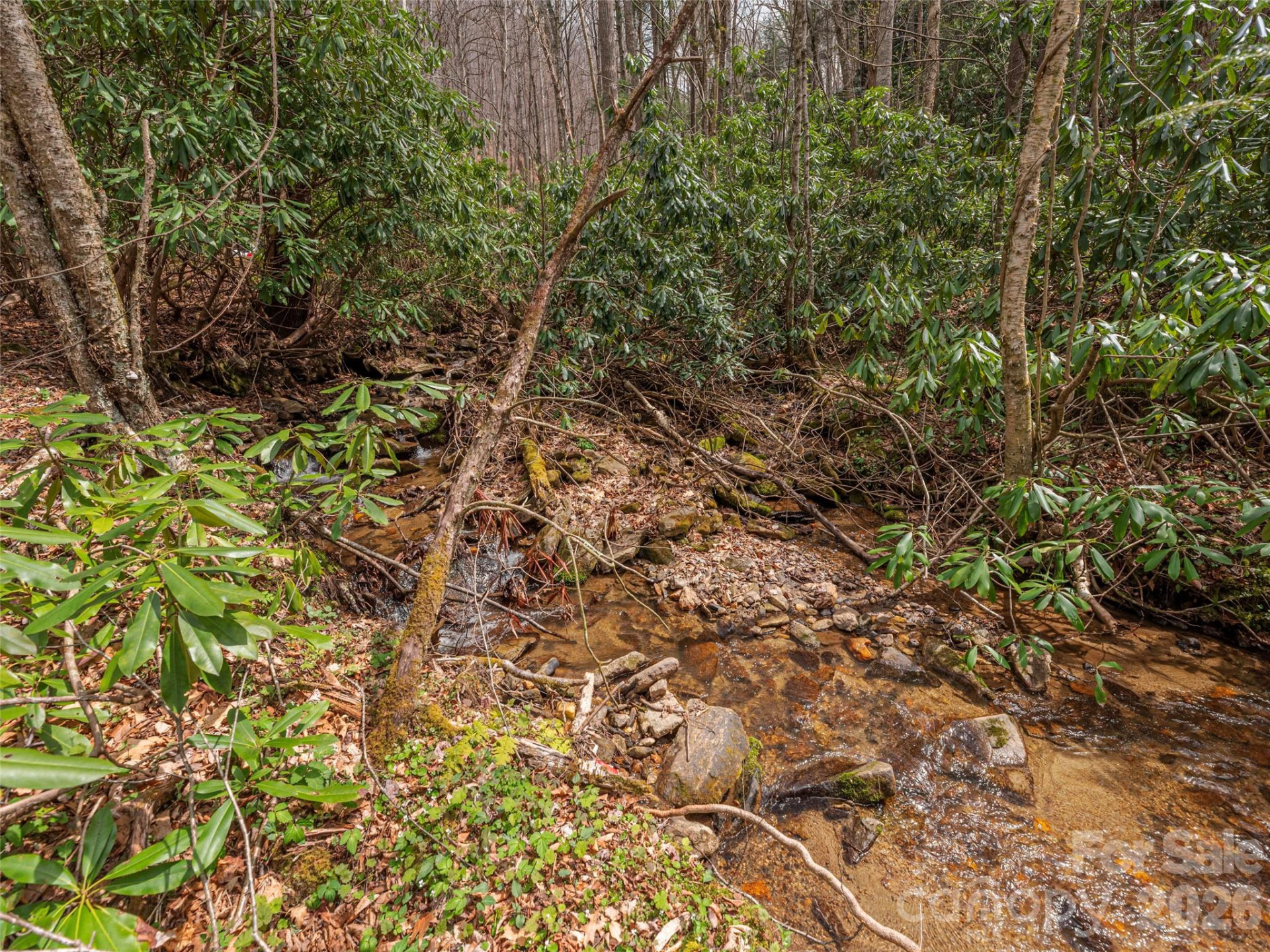 00 Norton Fork Road - Photo 5