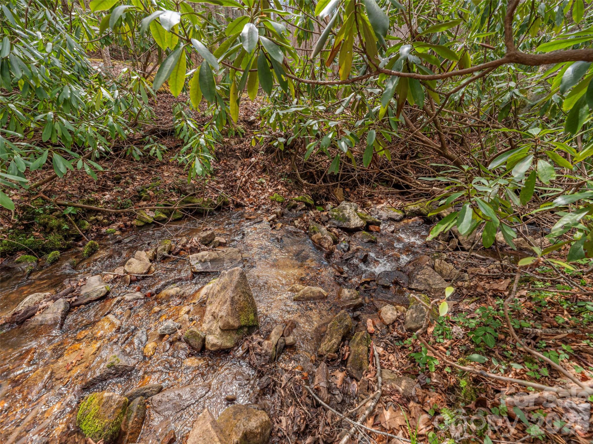 00 Norton Fork Road - Photo 6