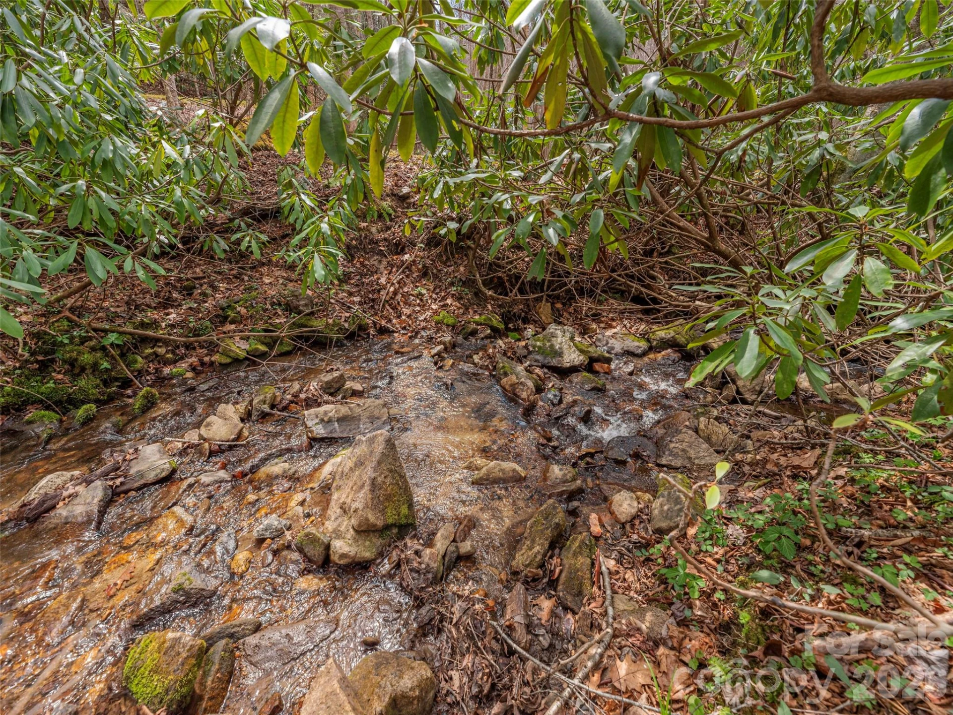 00 Norton Fork Road - Photo 6