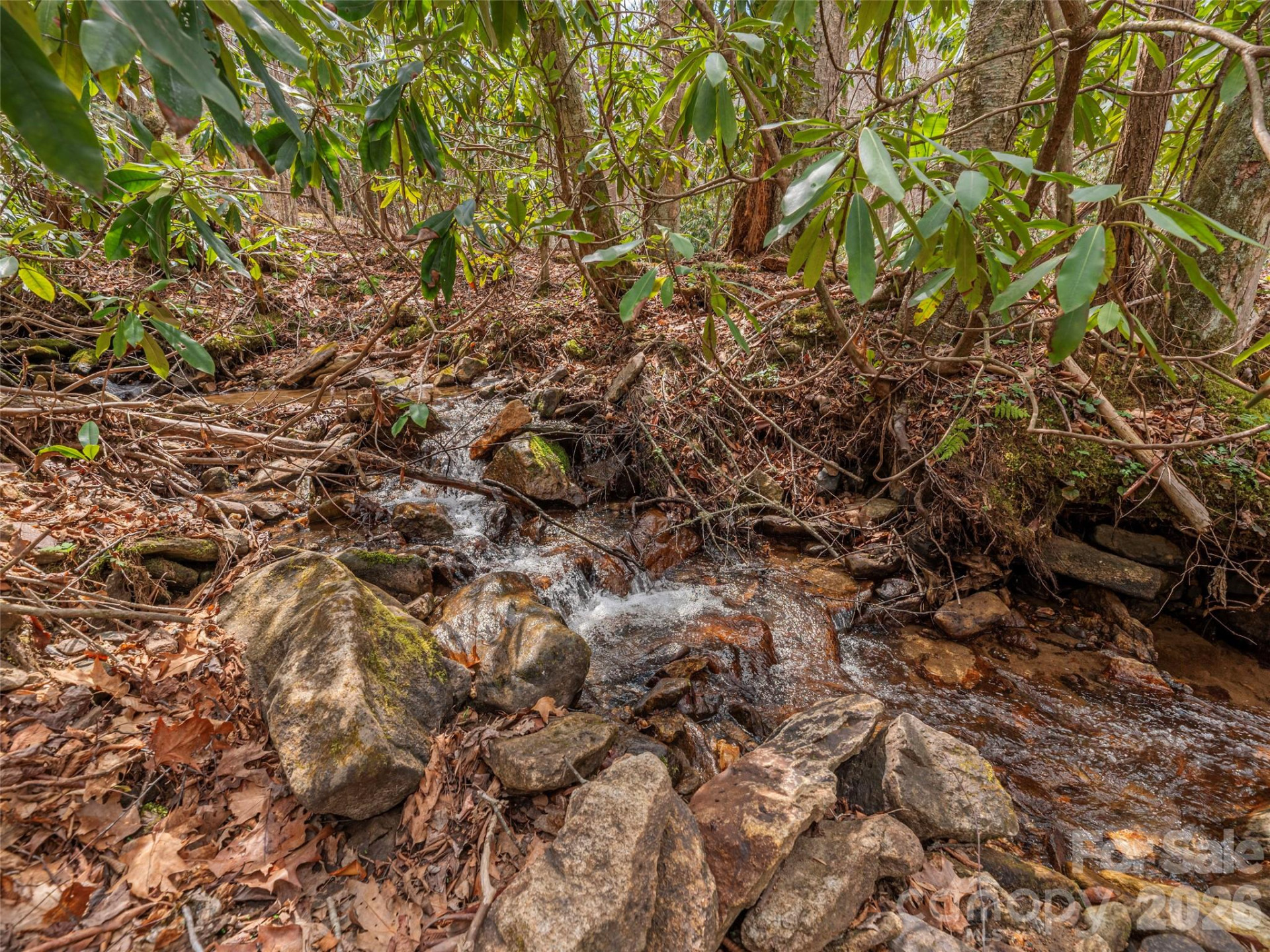 00 Norton Fork Road - Photo 7
