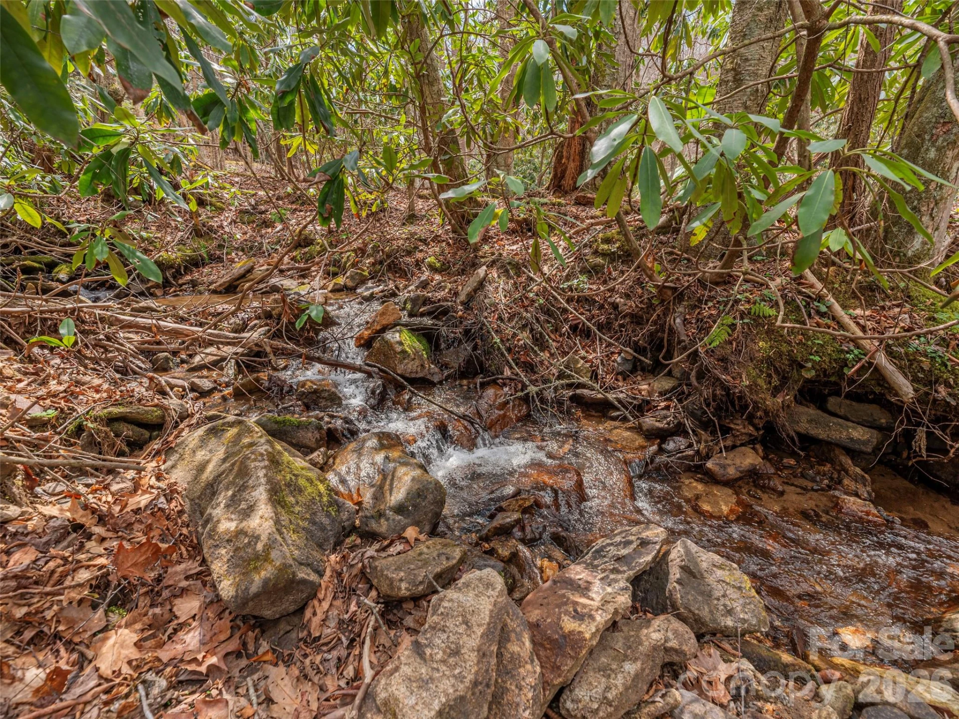 00 Norton Fork Road - Photo 7