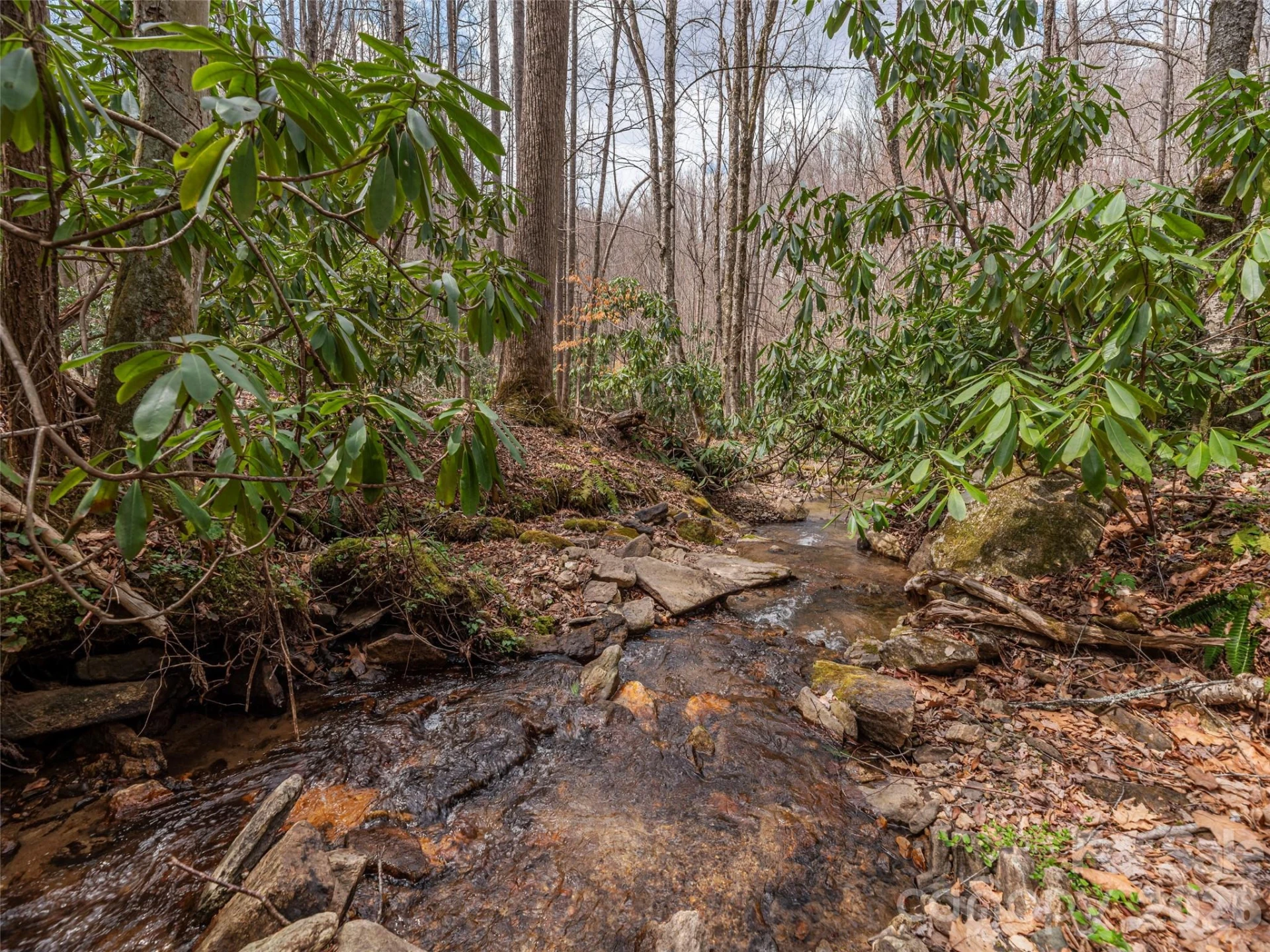 00 Norton Fork Road - Photo 8