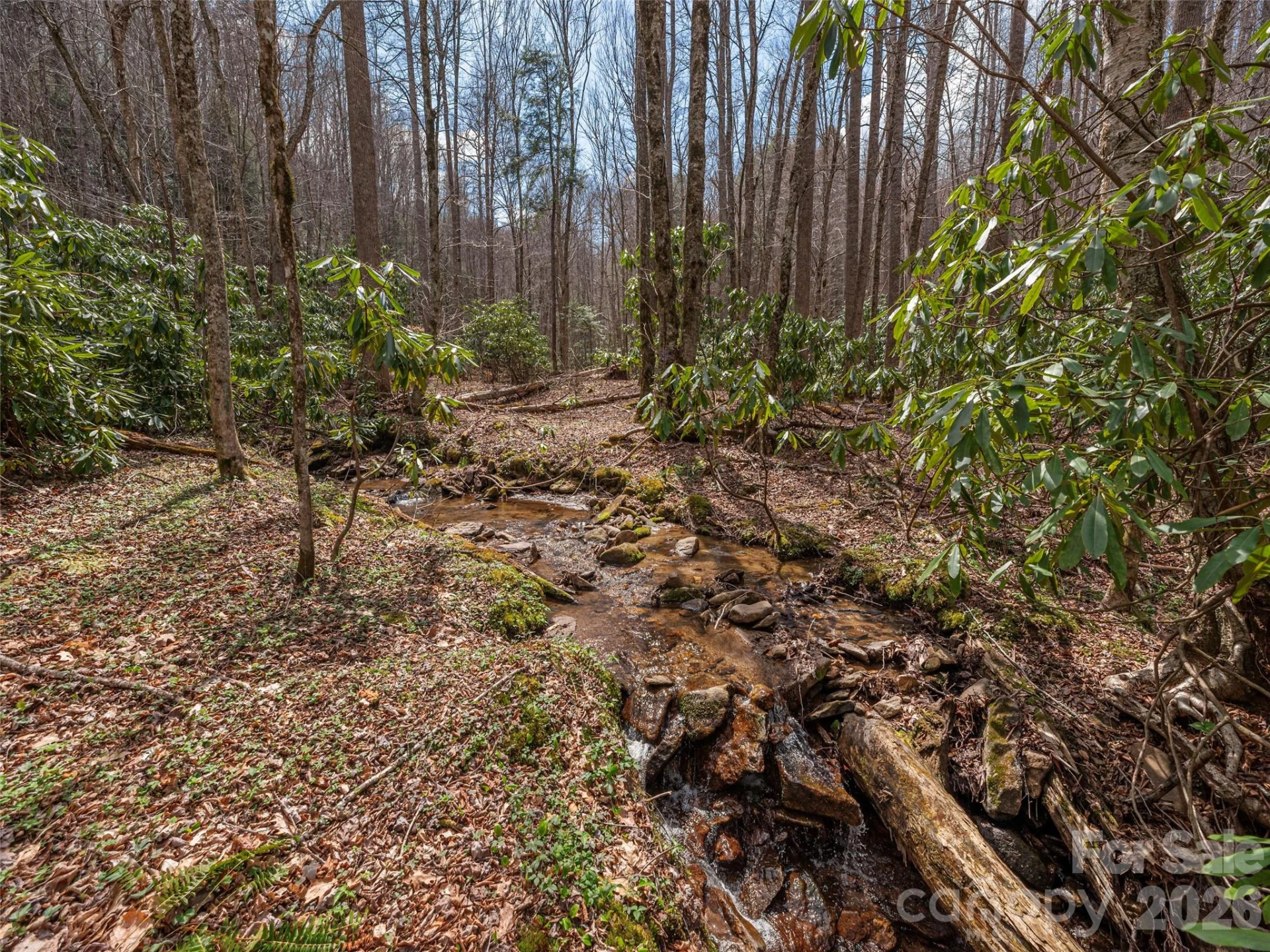 00 Norton Fork Road - Photo 9