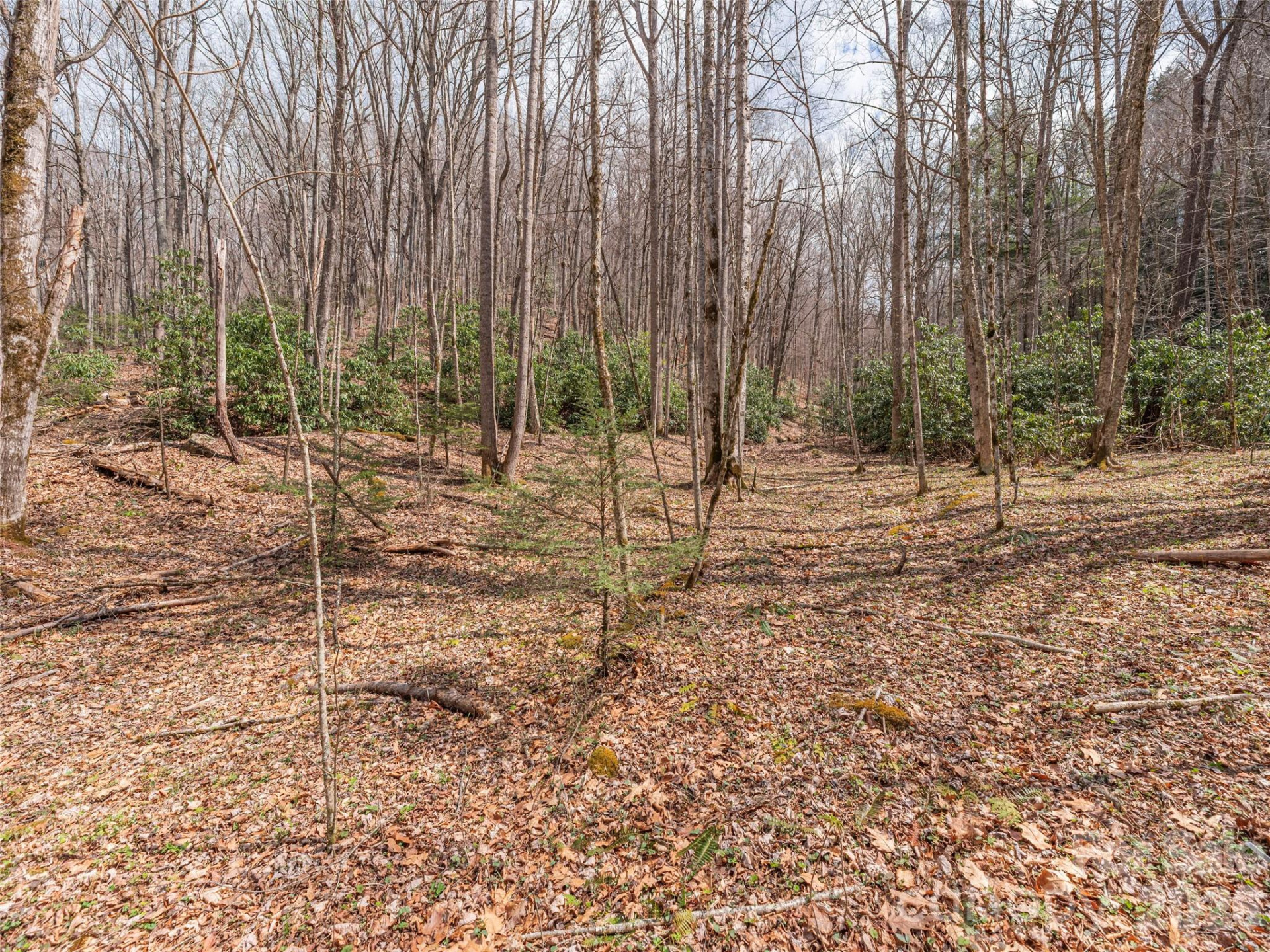 00 Norton Fork Road - Photo 10