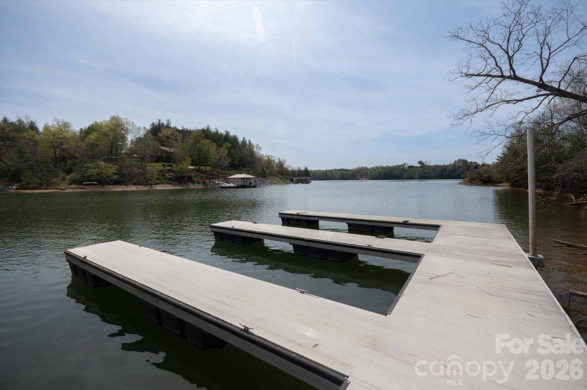 103 Big Tree Way - Photo 12