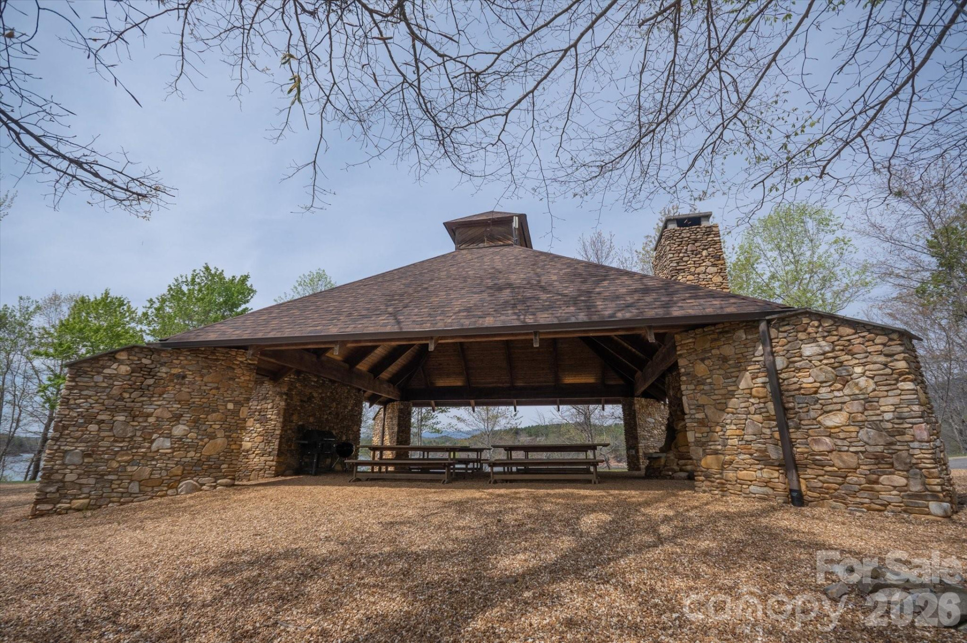 103 Big Tree Way - Photo 14