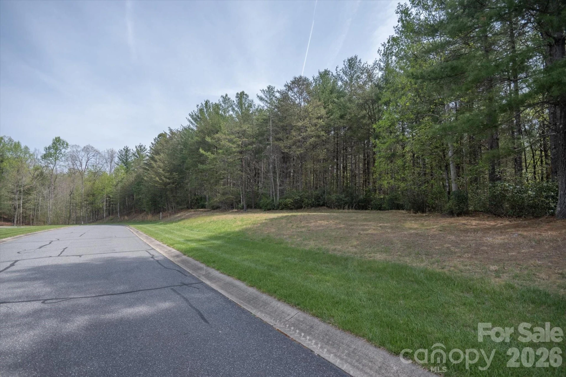 103 Big Tree Way - Photo 3