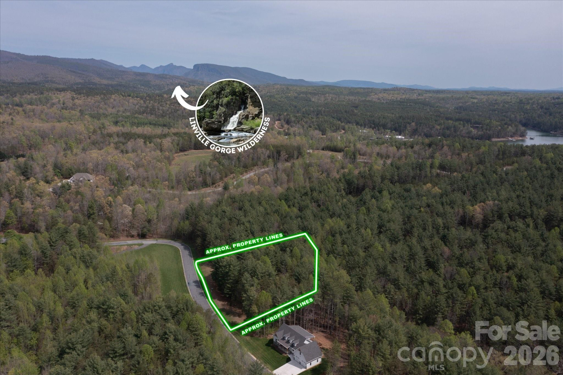 103 Big Tree Way - Photo 9