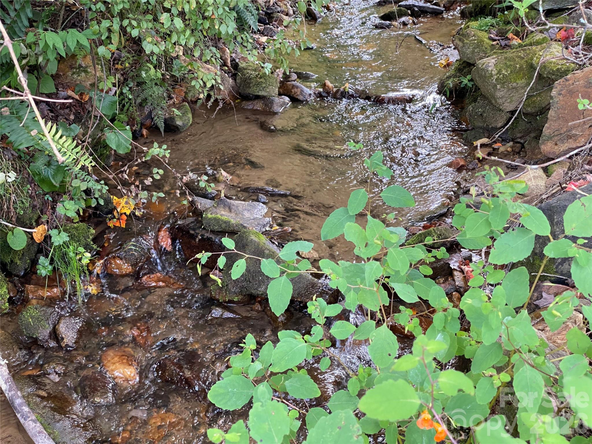 111 Hensley Branch Road - Photo 3