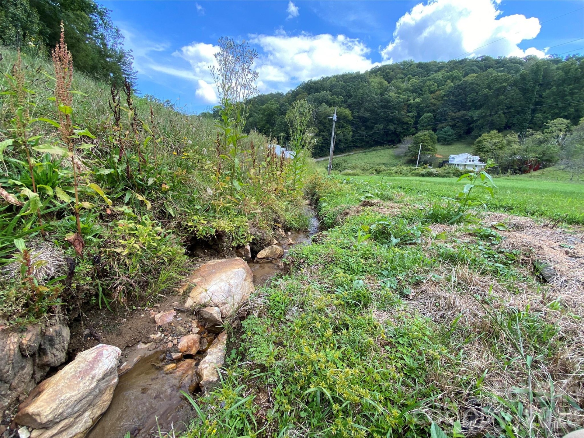 111 Hensley Branch Road - Photo 15