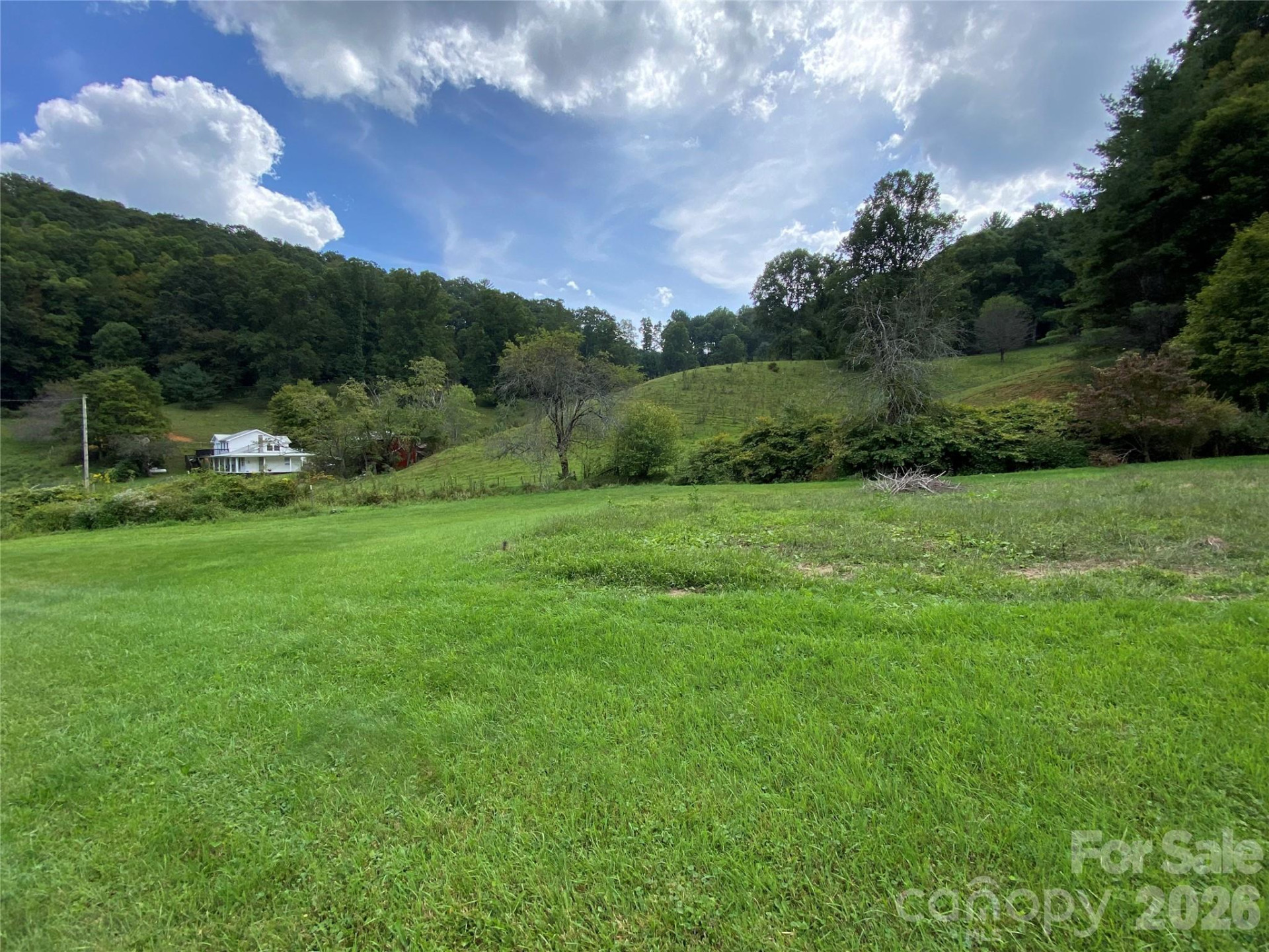 111 Hensley Branch Road - Photo 16