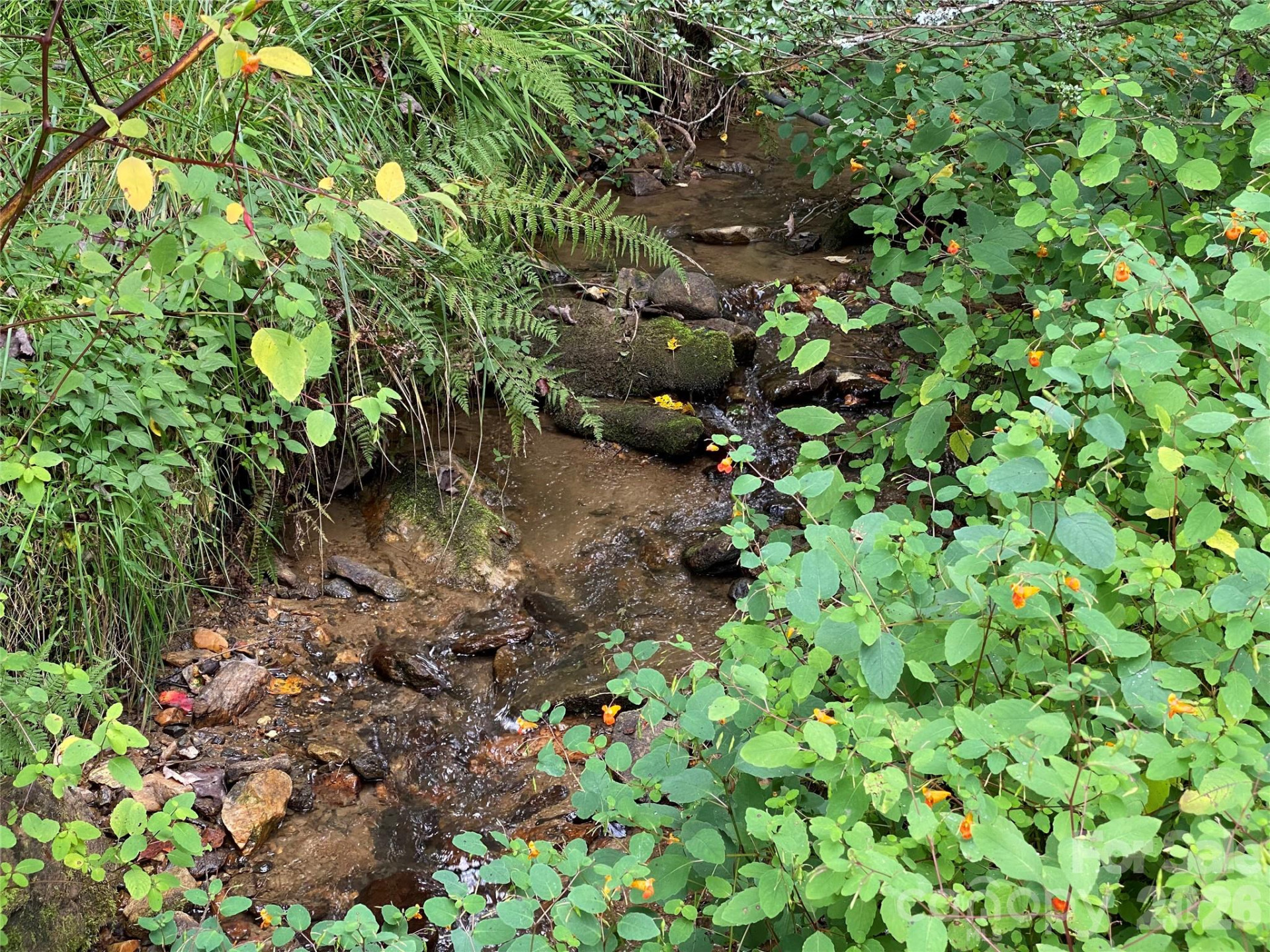 111 Hensley Branch Road - Photo 24