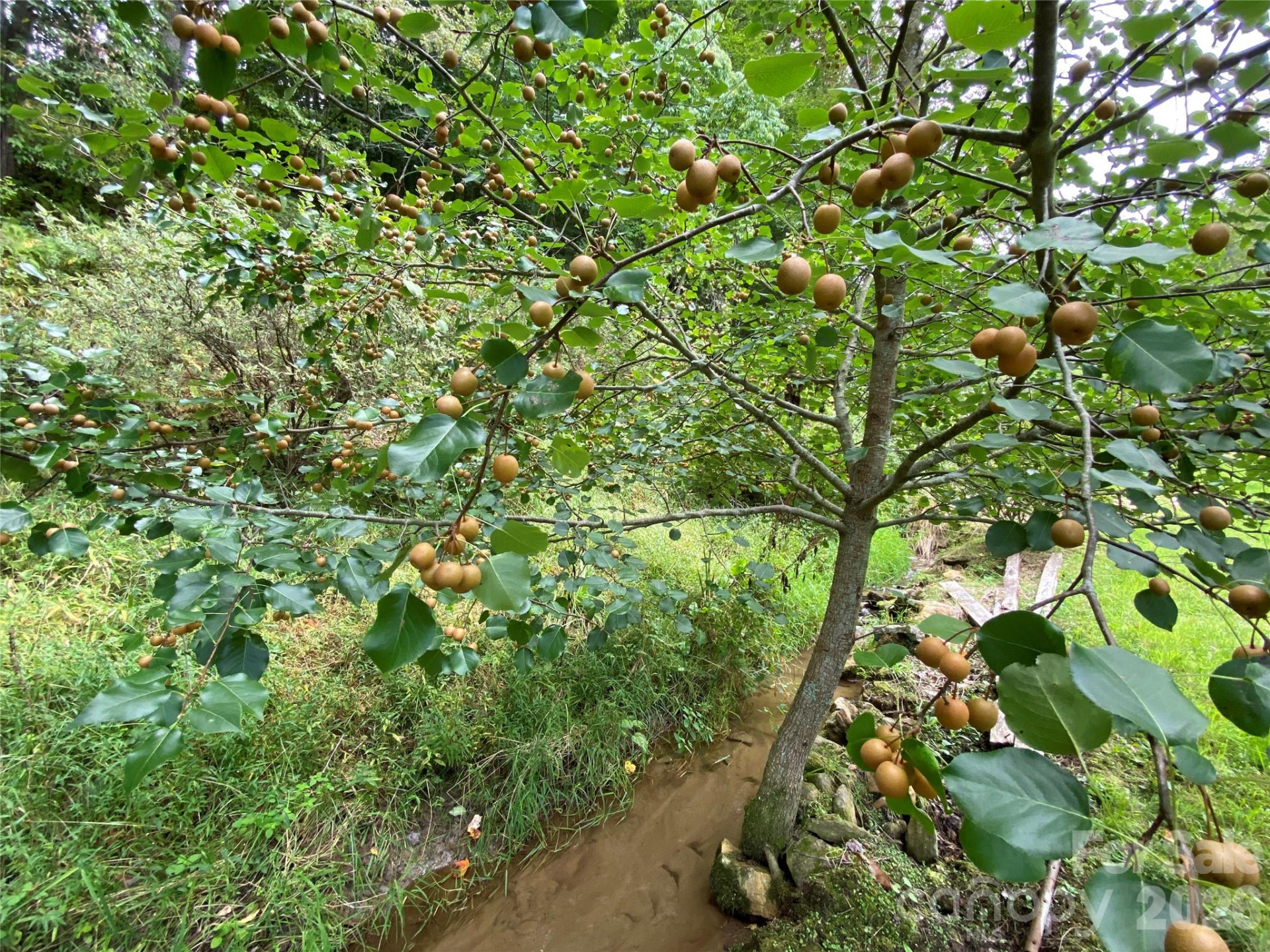 111 Hensley Branch Road - Photo 10