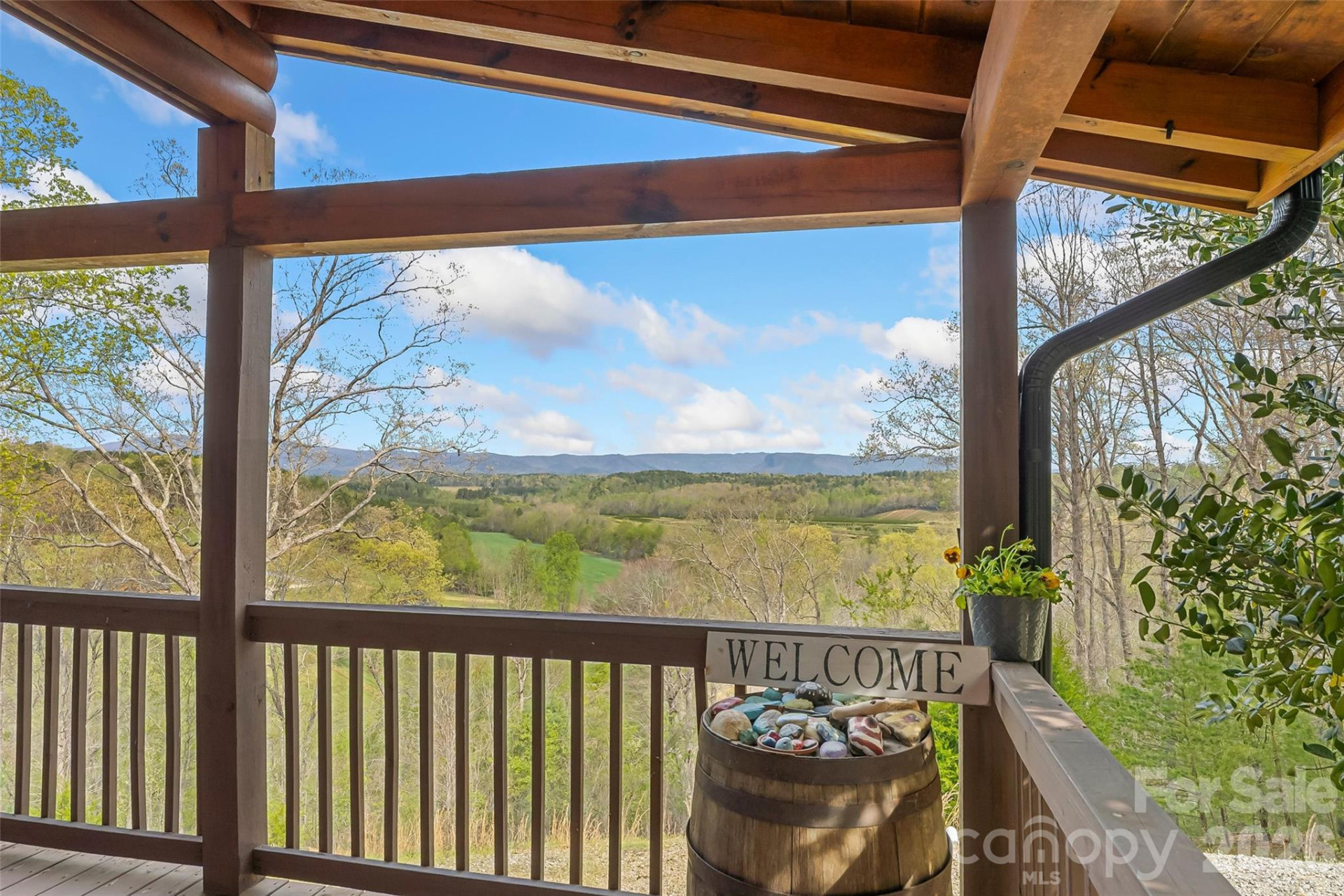 295 Outback Trail #29 - Photo 8